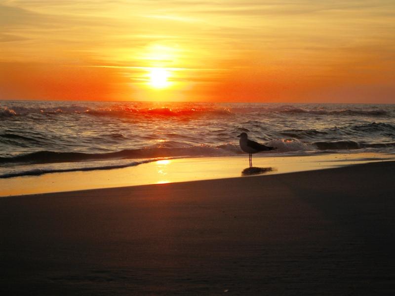 GRAND SANDESTIN THE - Residential