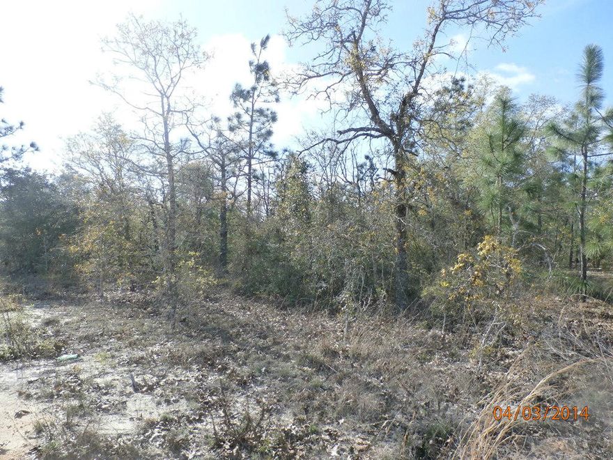 REO-Over an acre of vacant land close to Lake Juniper. This is bank owned and owner financing is available! Manufactured homes are allowed!