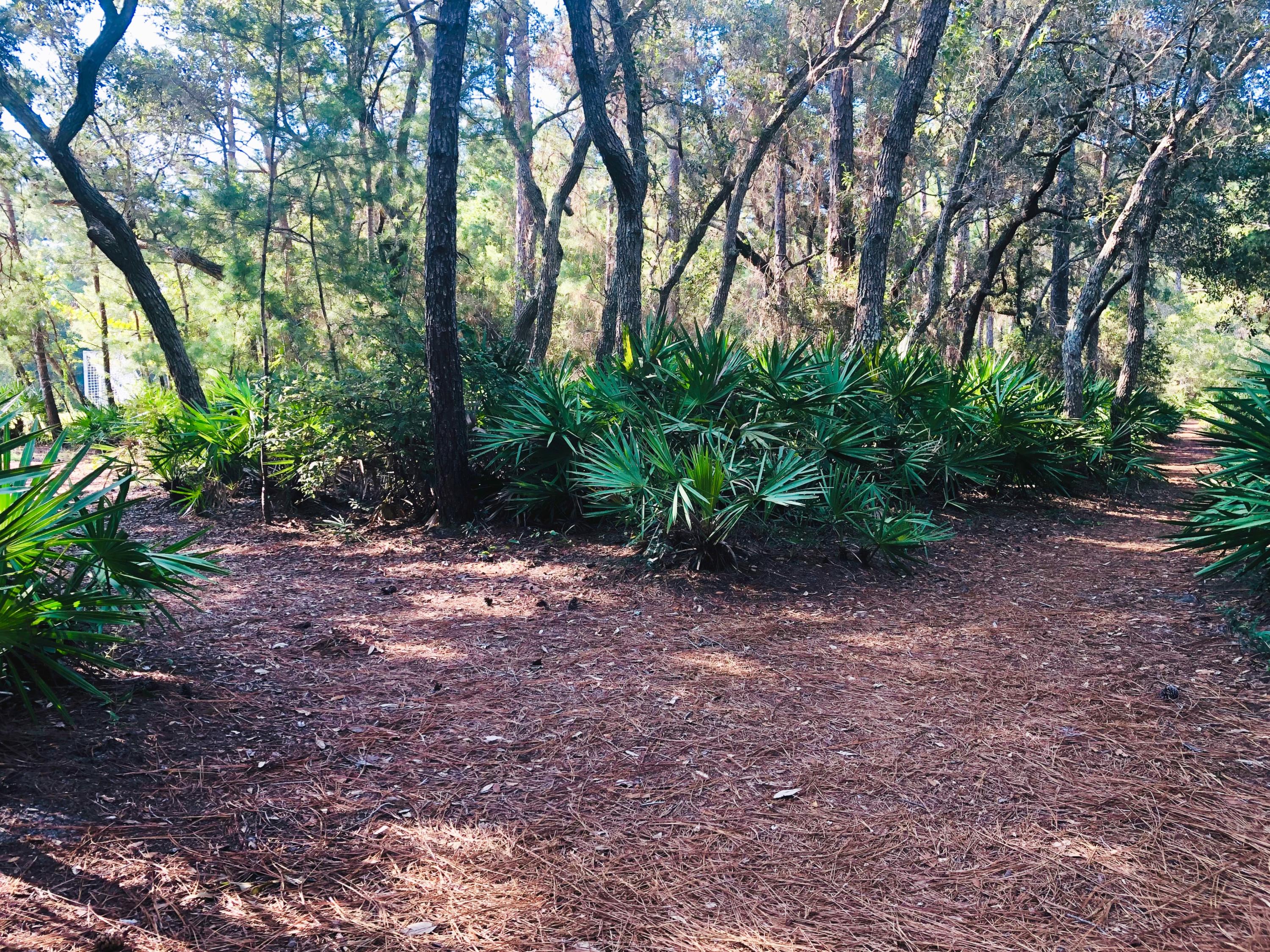 RAINTREE ESTATES - Residential