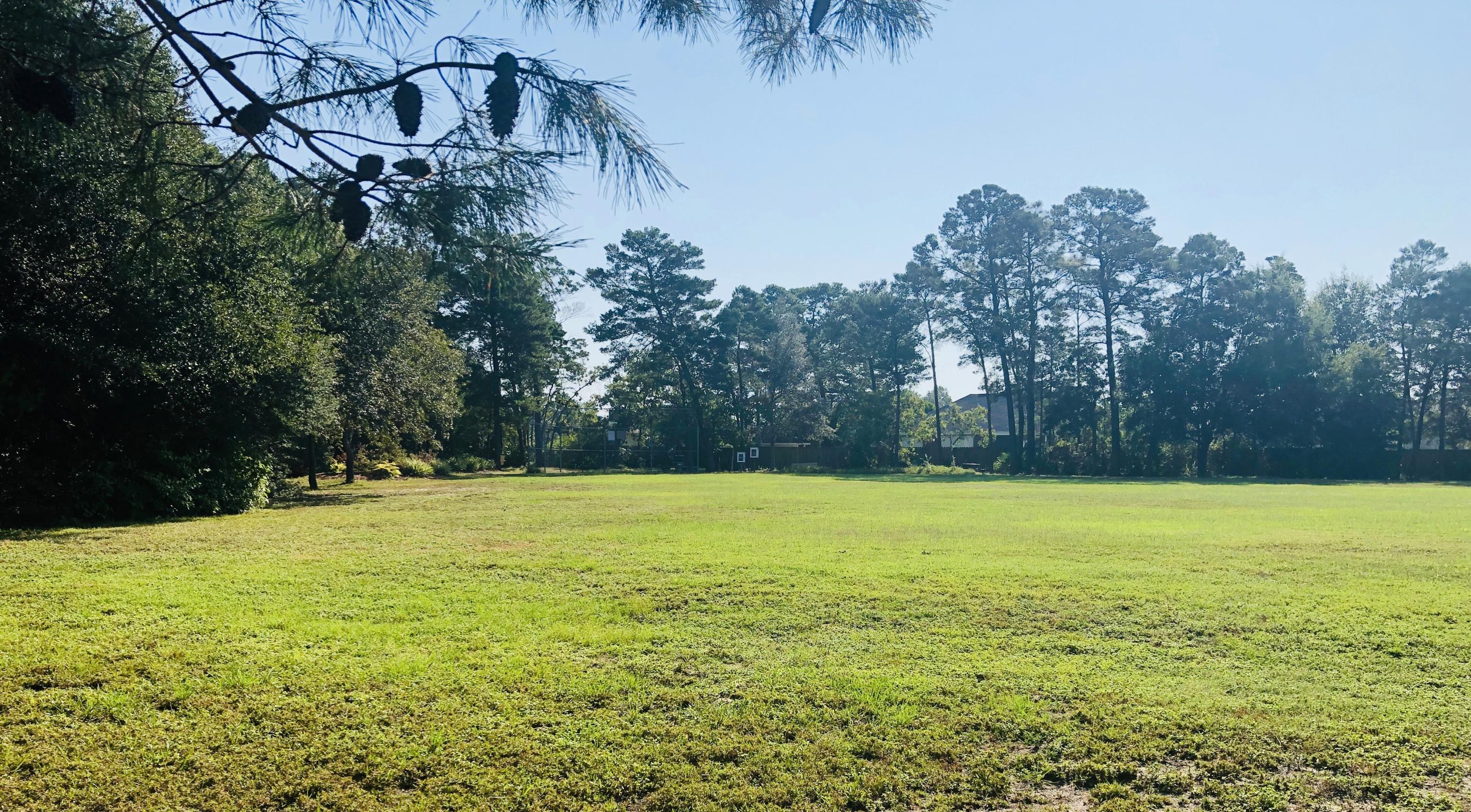 RAINTREE ESTATES - Residential