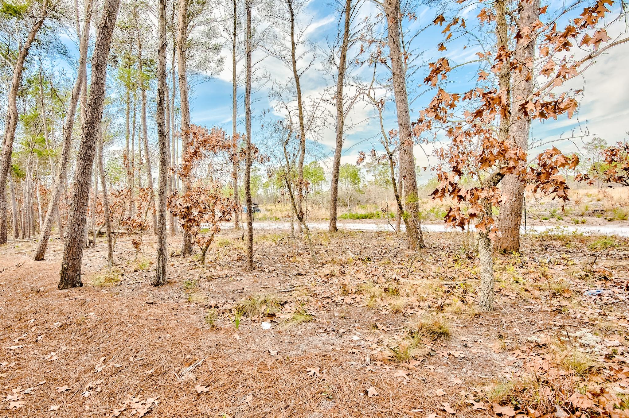 Prominence North - Residential