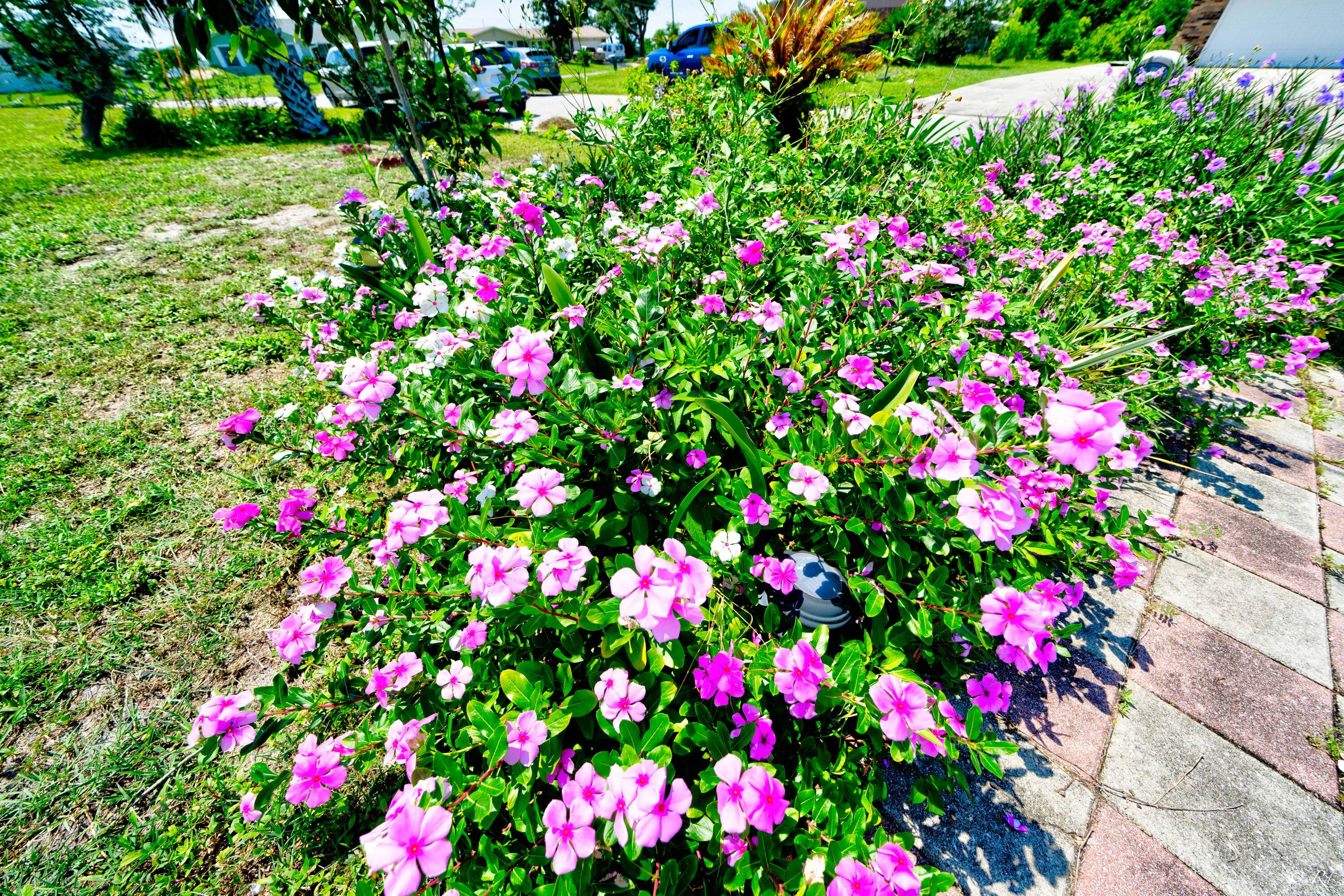 BAY FRONT UNIT 3 - Residential