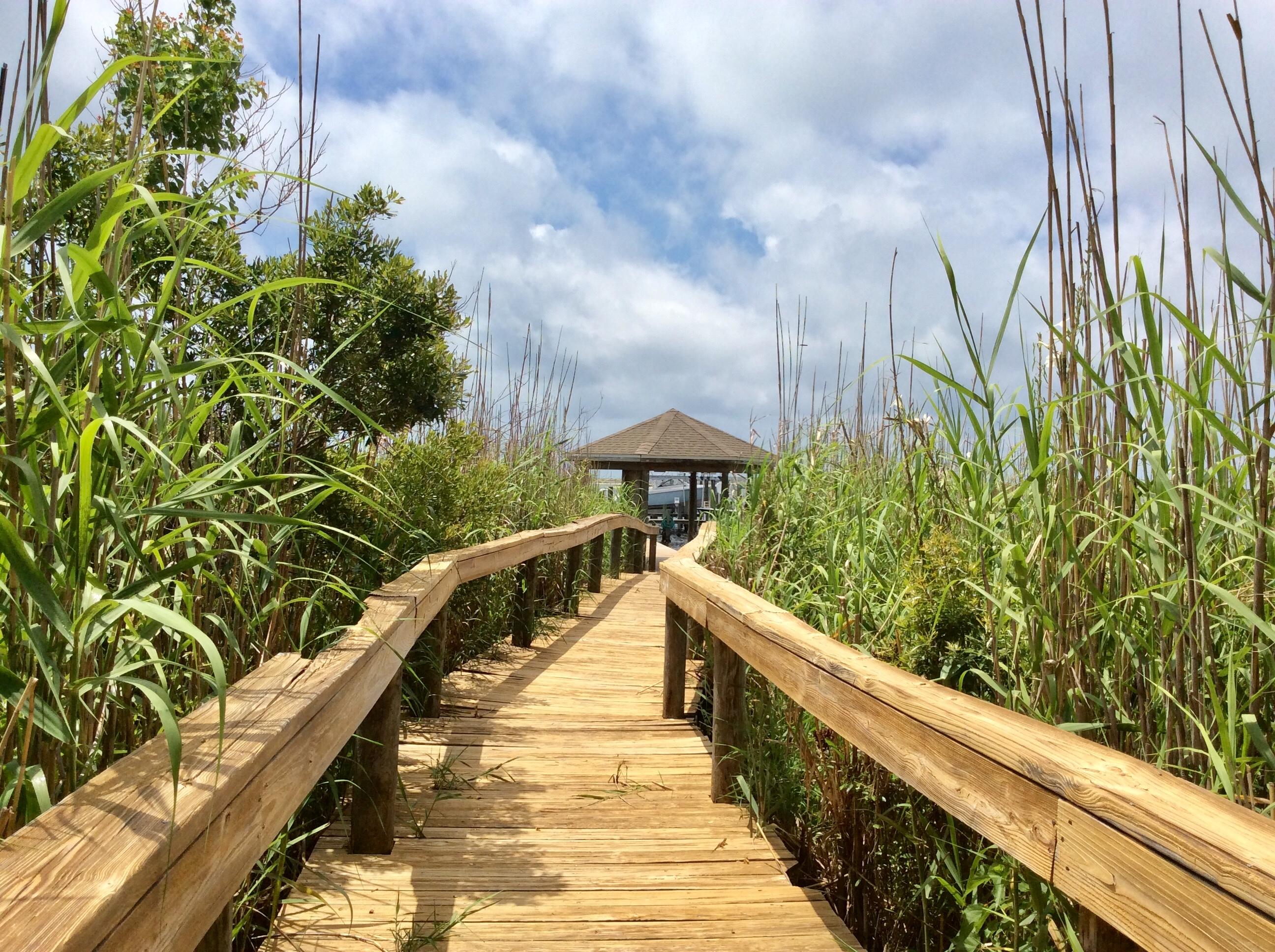 ISLANDVIEW BEACH - Residential