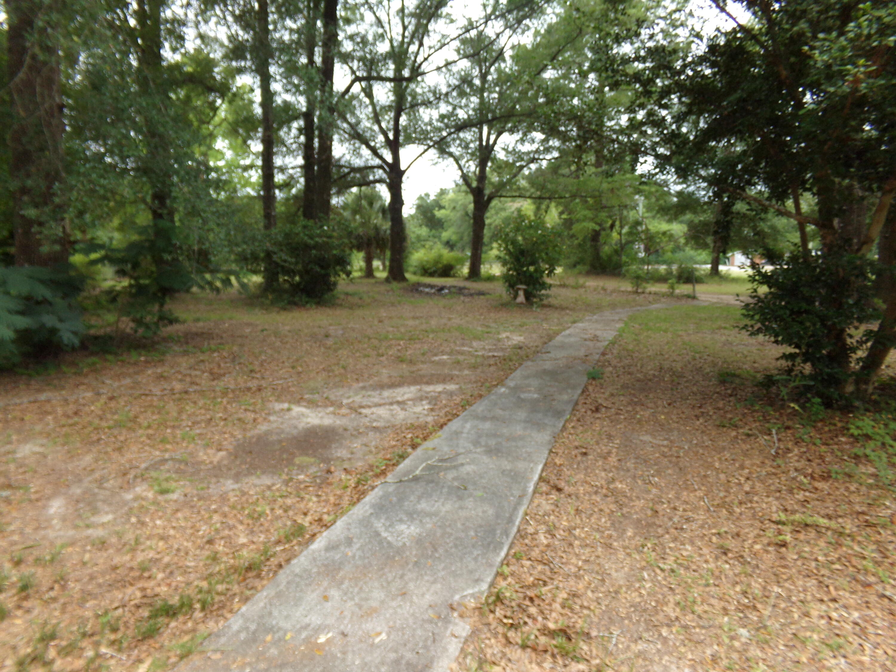 Holt Lots 55, 56, & 59 - Land