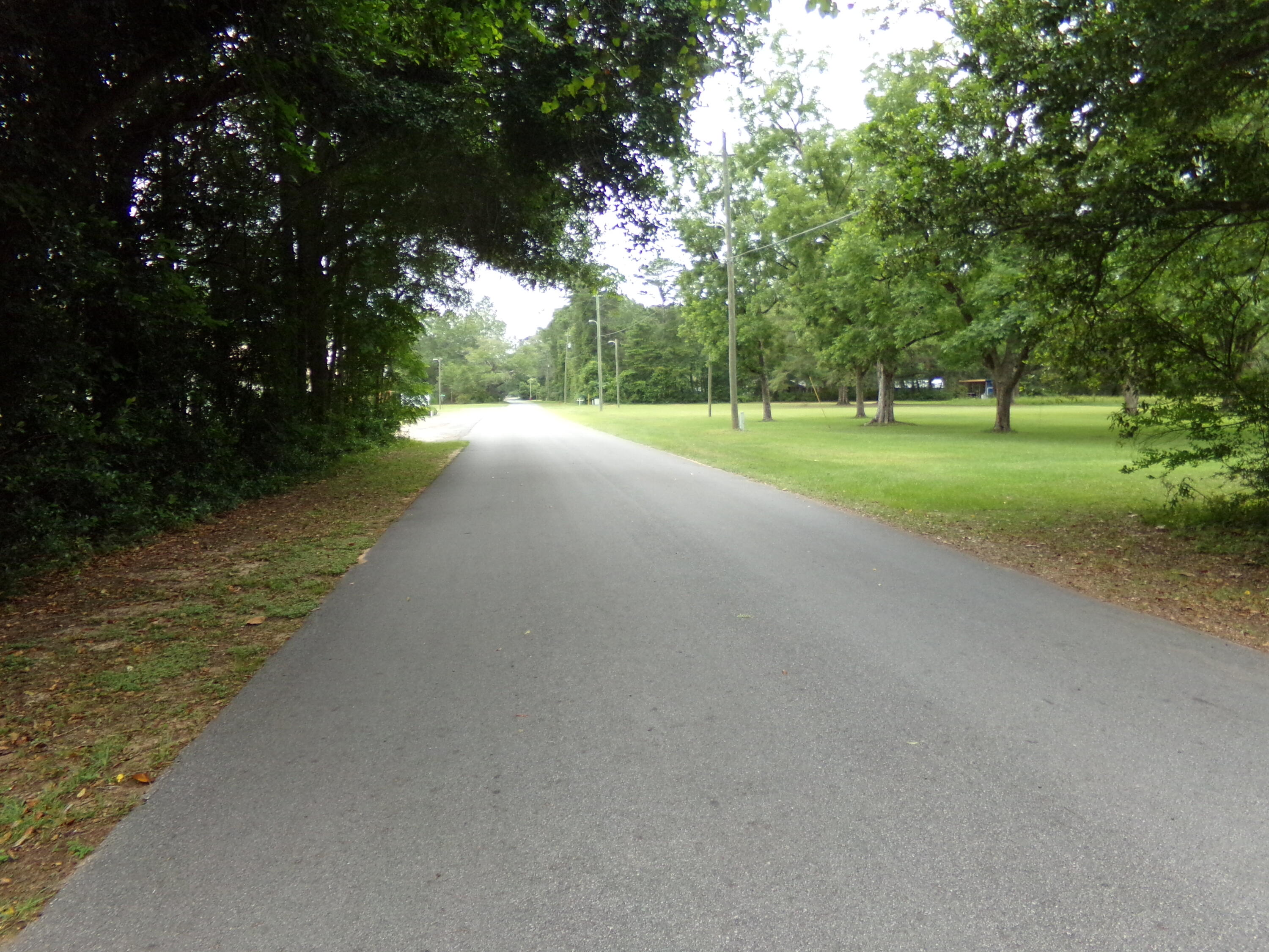 Holt Lots 55, 56, & 59 - Land