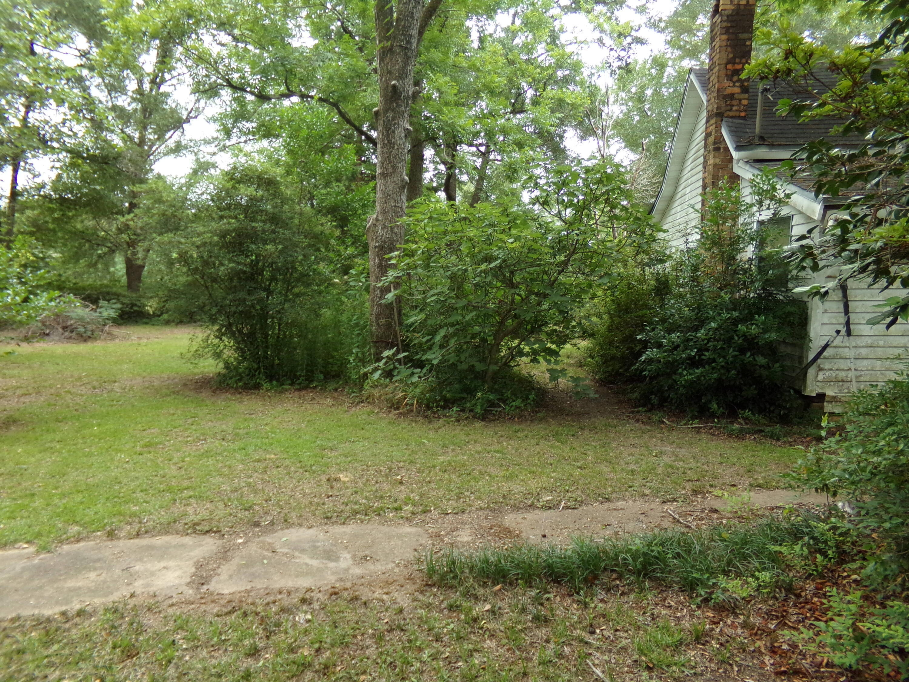 Holt Lots 55, 56, & 59 - Land