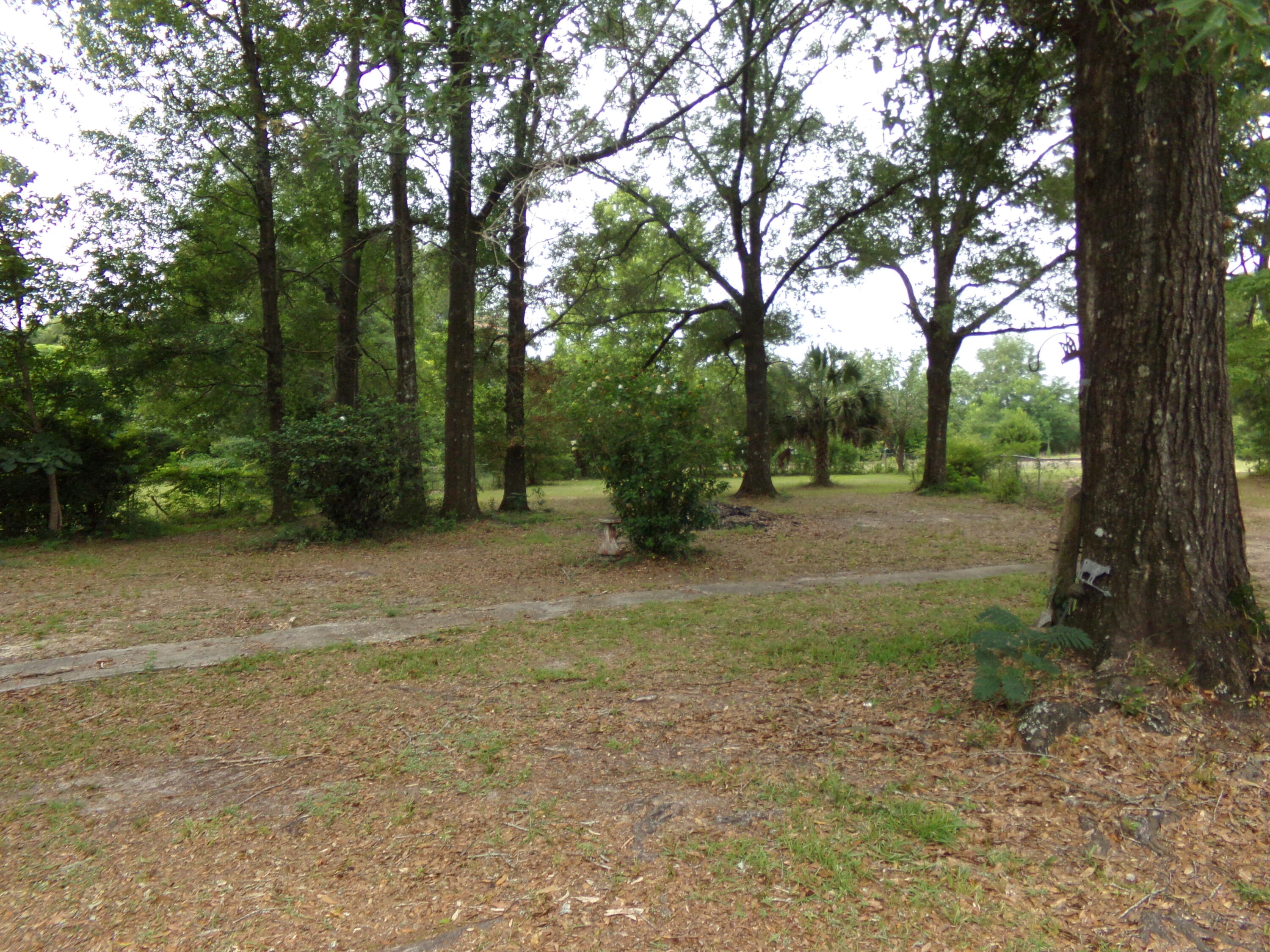 Holt Lots 55, 56, & 59 - Land