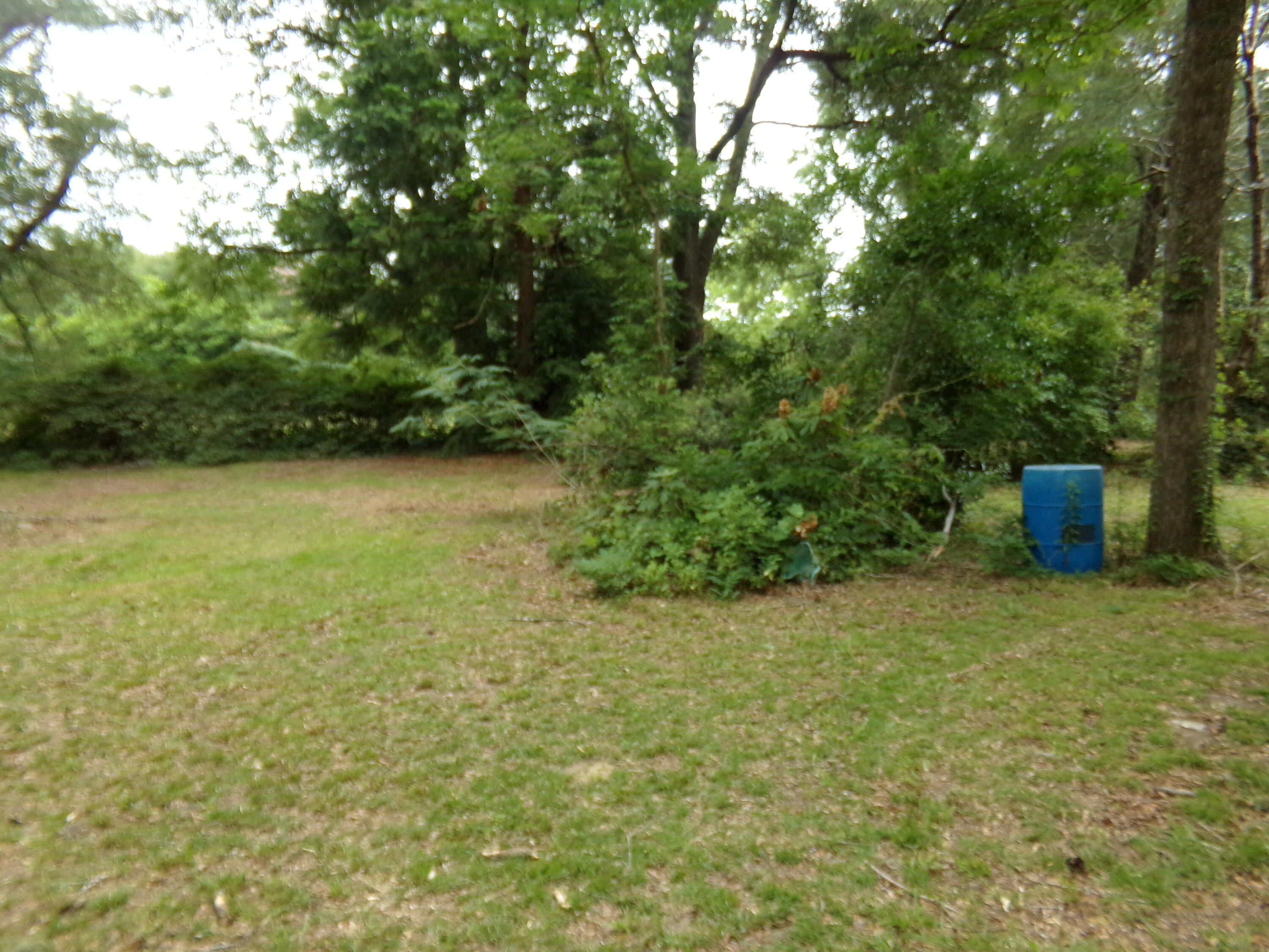 Holt Lots 55, 56, & 59 - Land