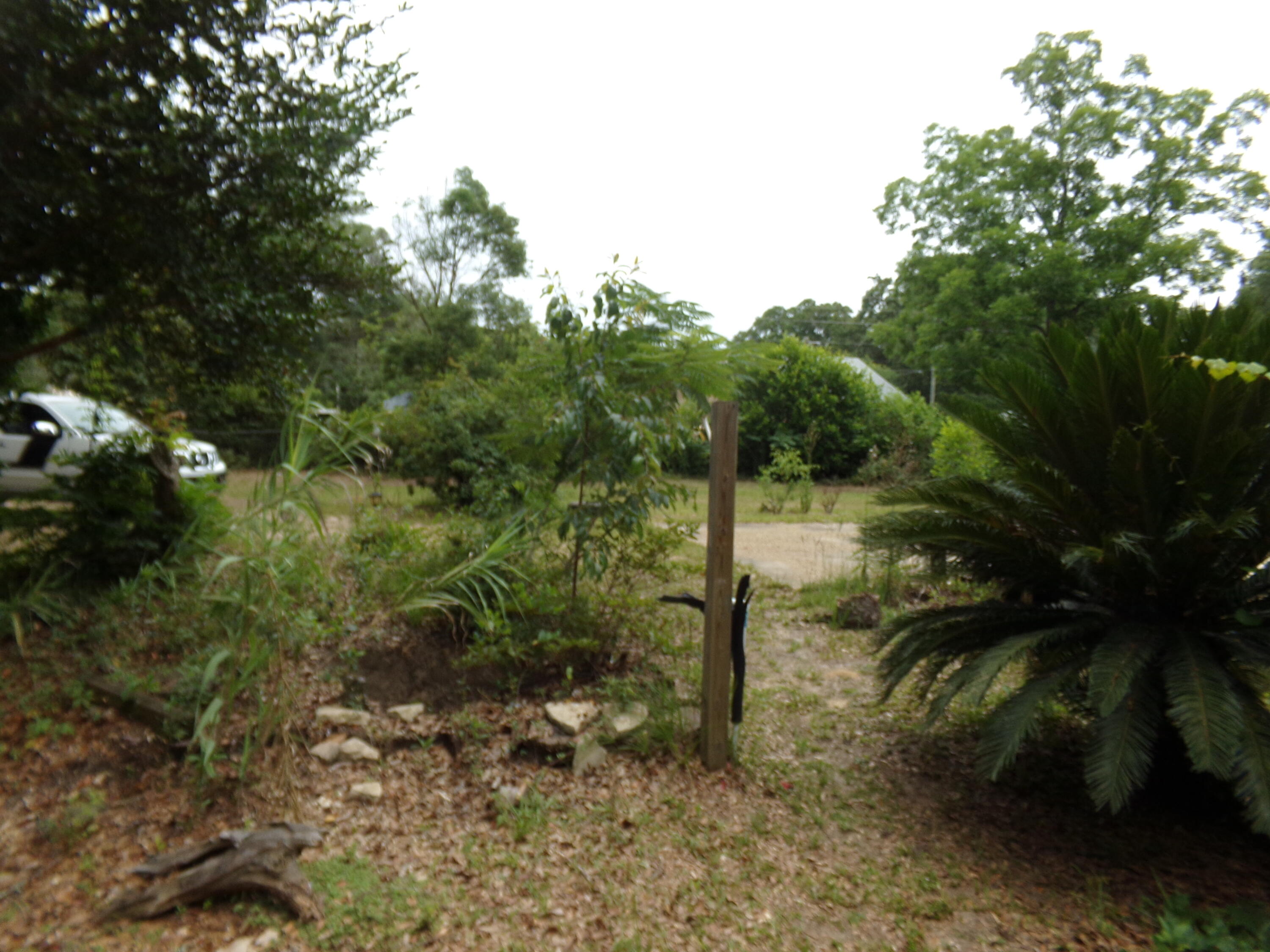 Holt Lots 55, 56, & 59 - Land