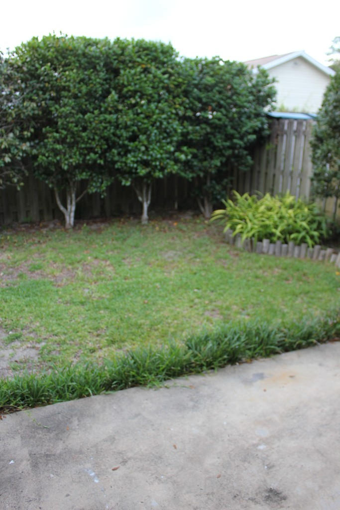 BLUE PINE VILLAGE PH 1 - Residential Lease