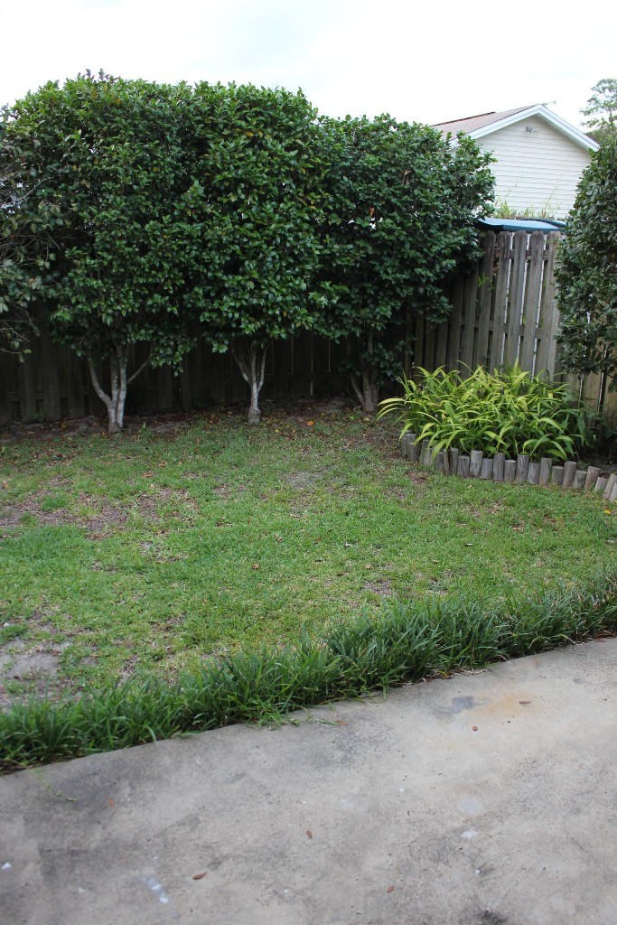 BLUE PINE VILLAGE PH 1 - Residential Lease