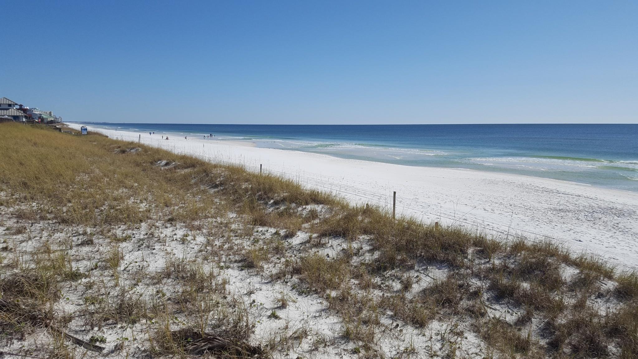 PAVILION PALMS - Residential