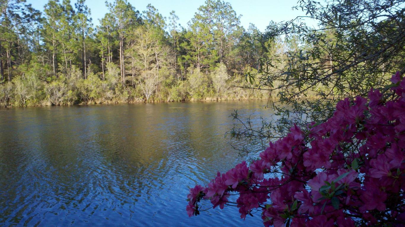 MIRROR LAKE - Residential