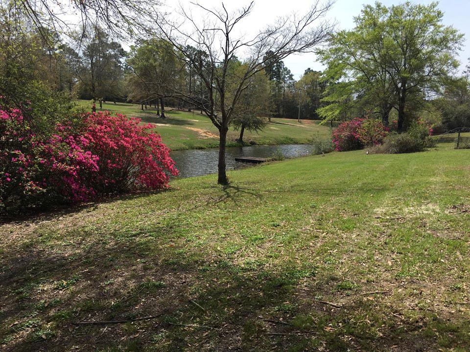 MIRROR LAKE - Residential