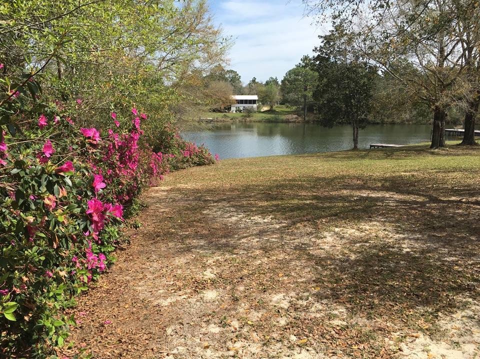MIRROR LAKE - Residential
