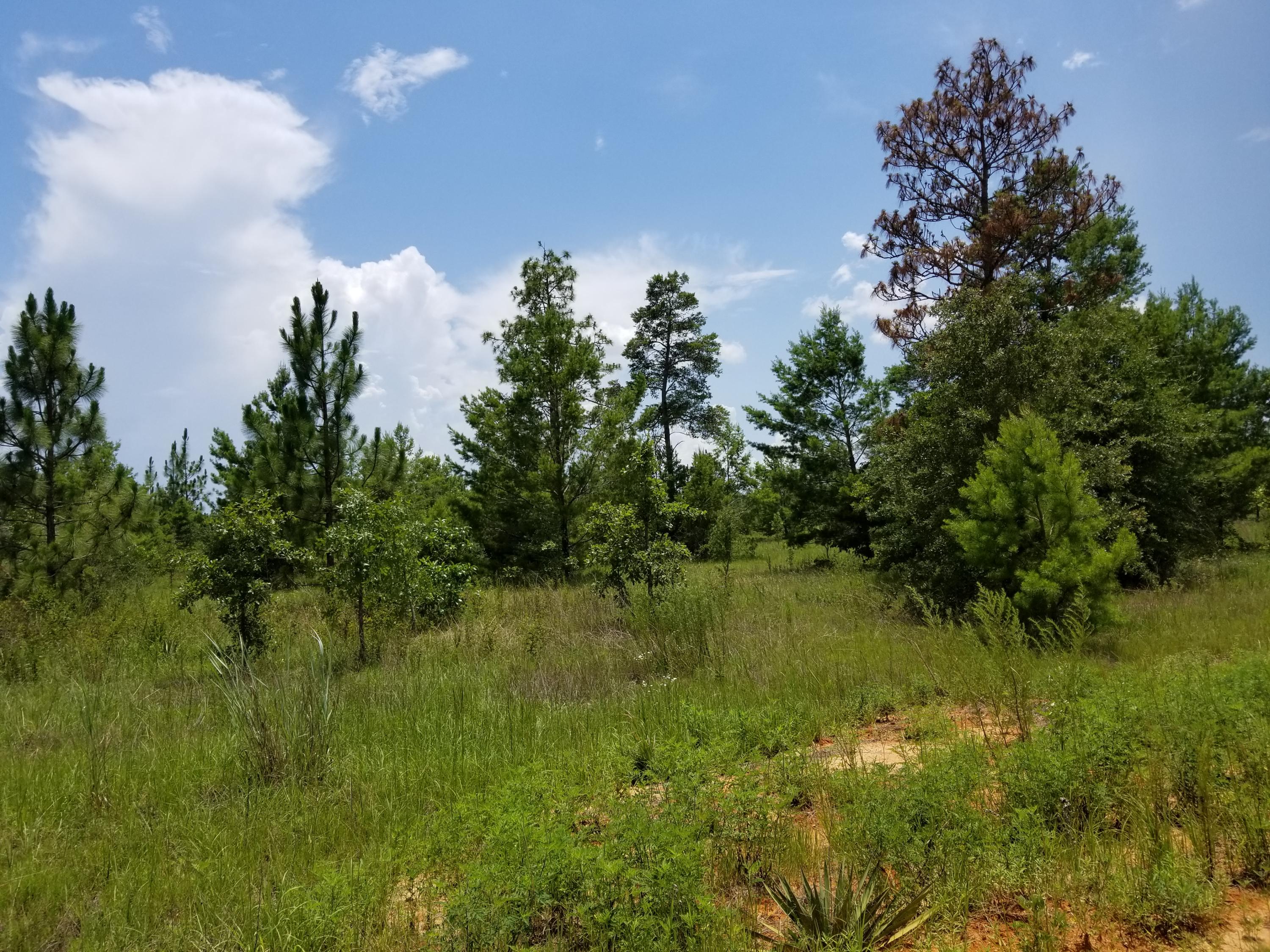 YOUNG PROPERTY - Farm