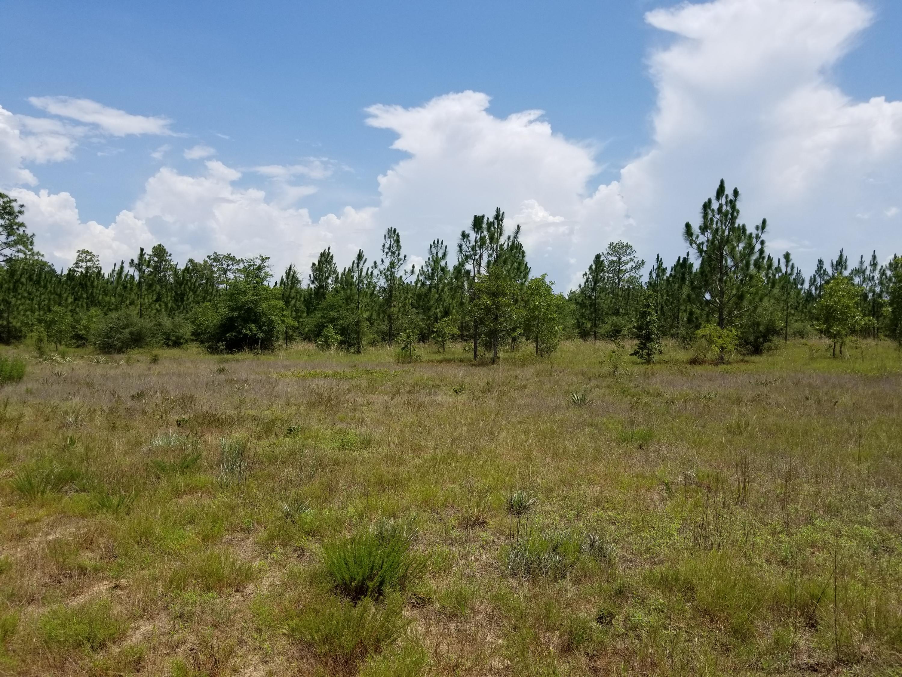 YOUNG PROPERTY - Farm