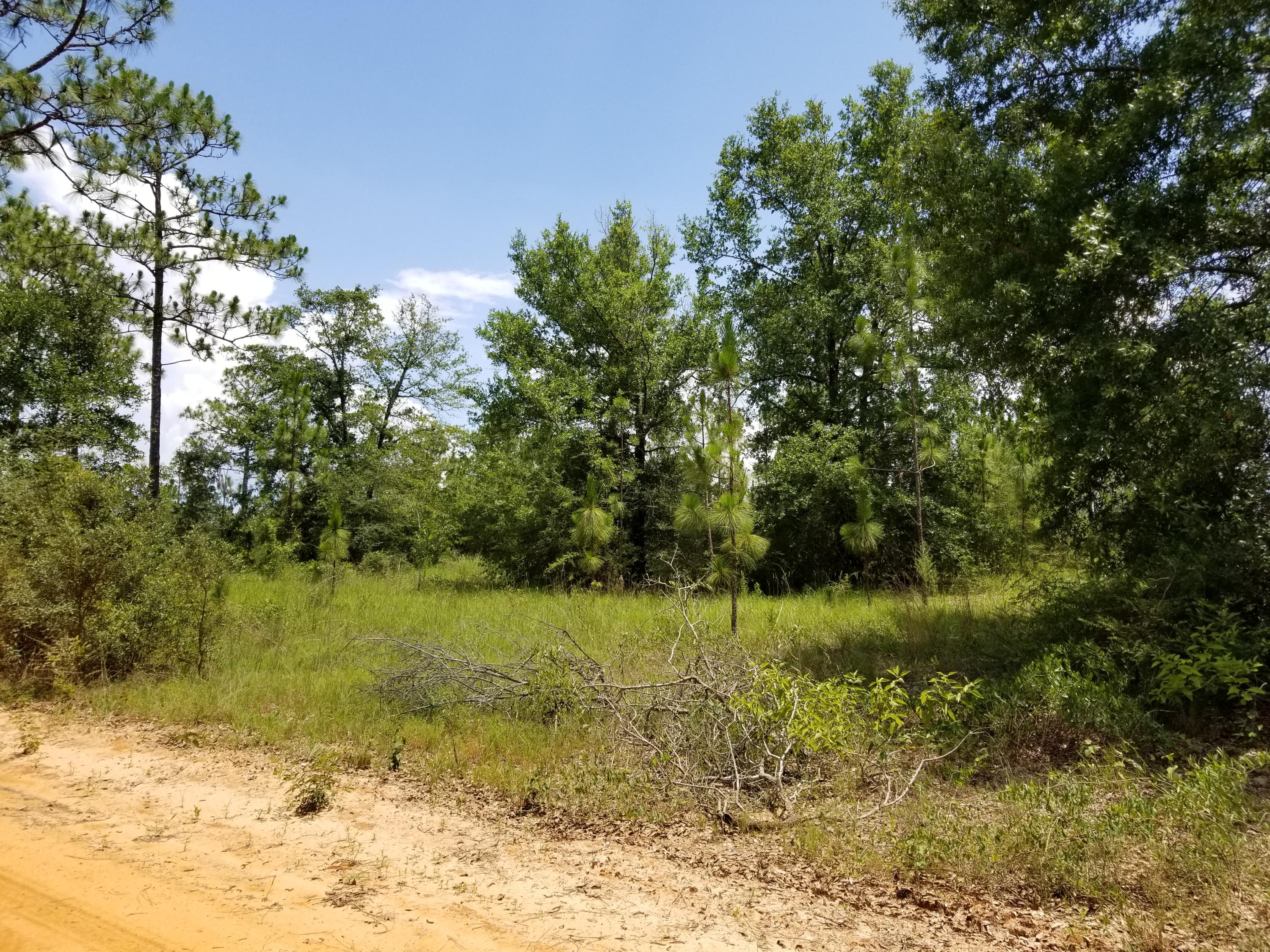 YOUNG PROPERTY - Farm