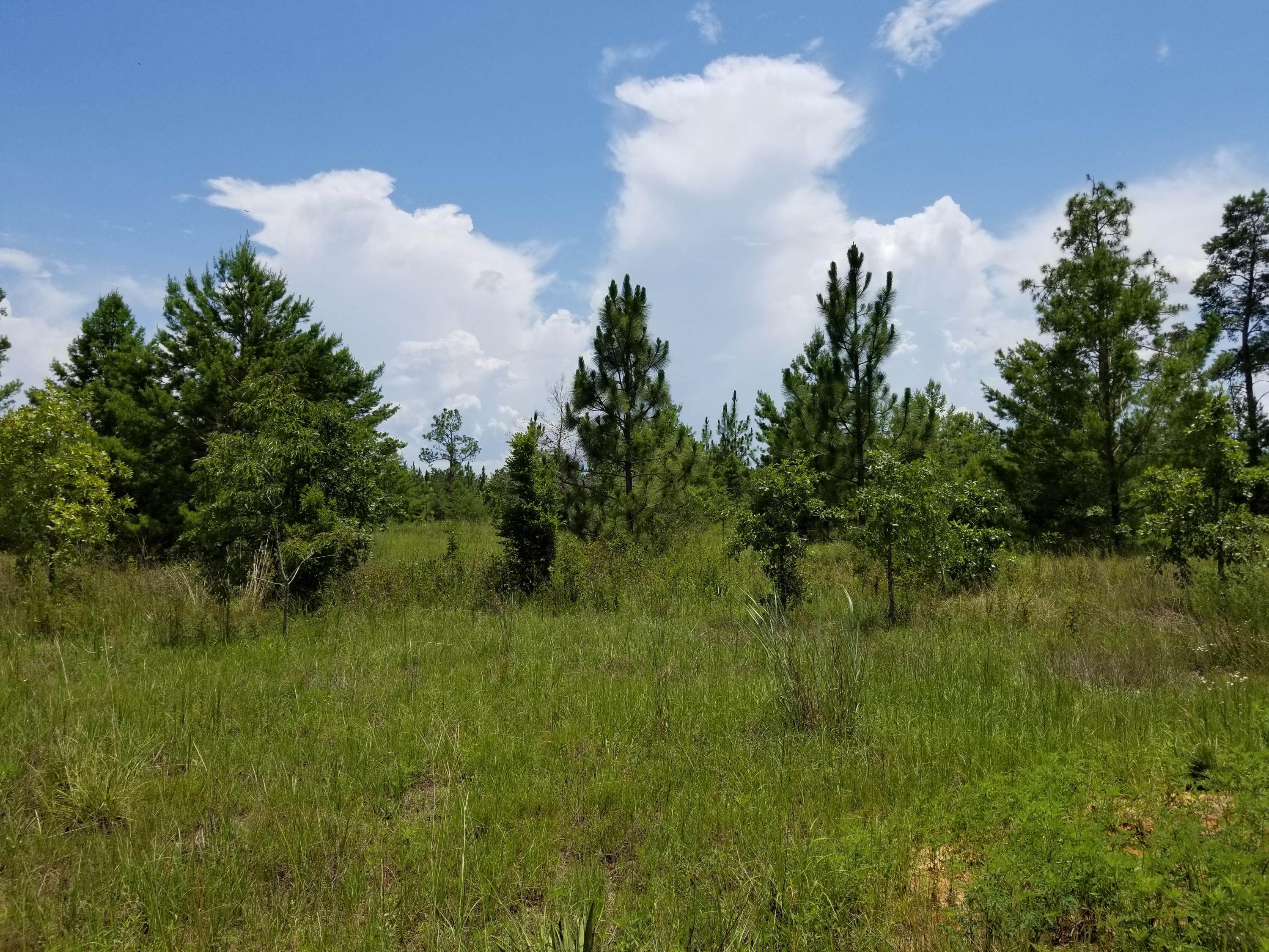 YOUNG PROPERTY - Farm