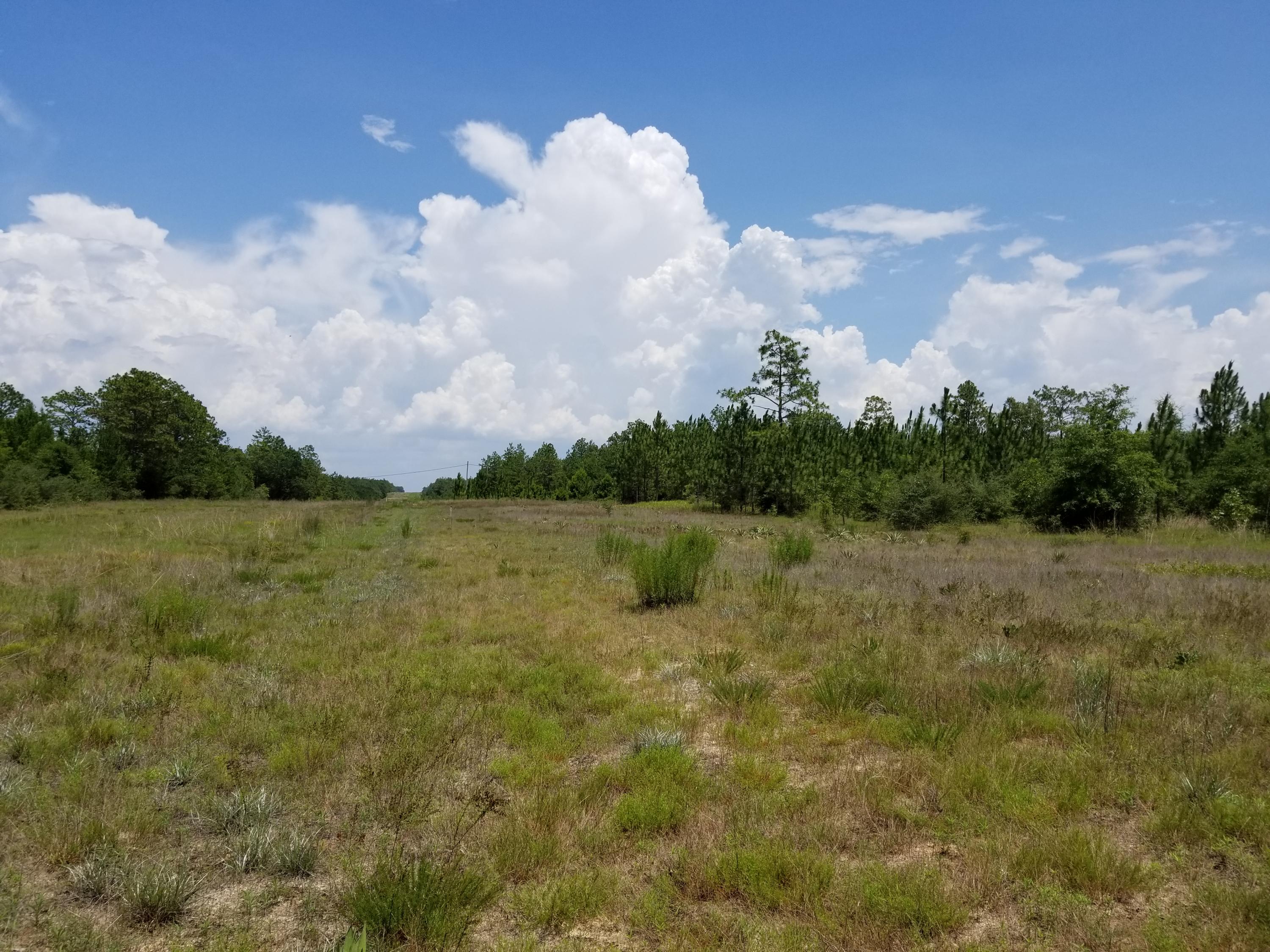 YOUNG PROPERTY - Farm