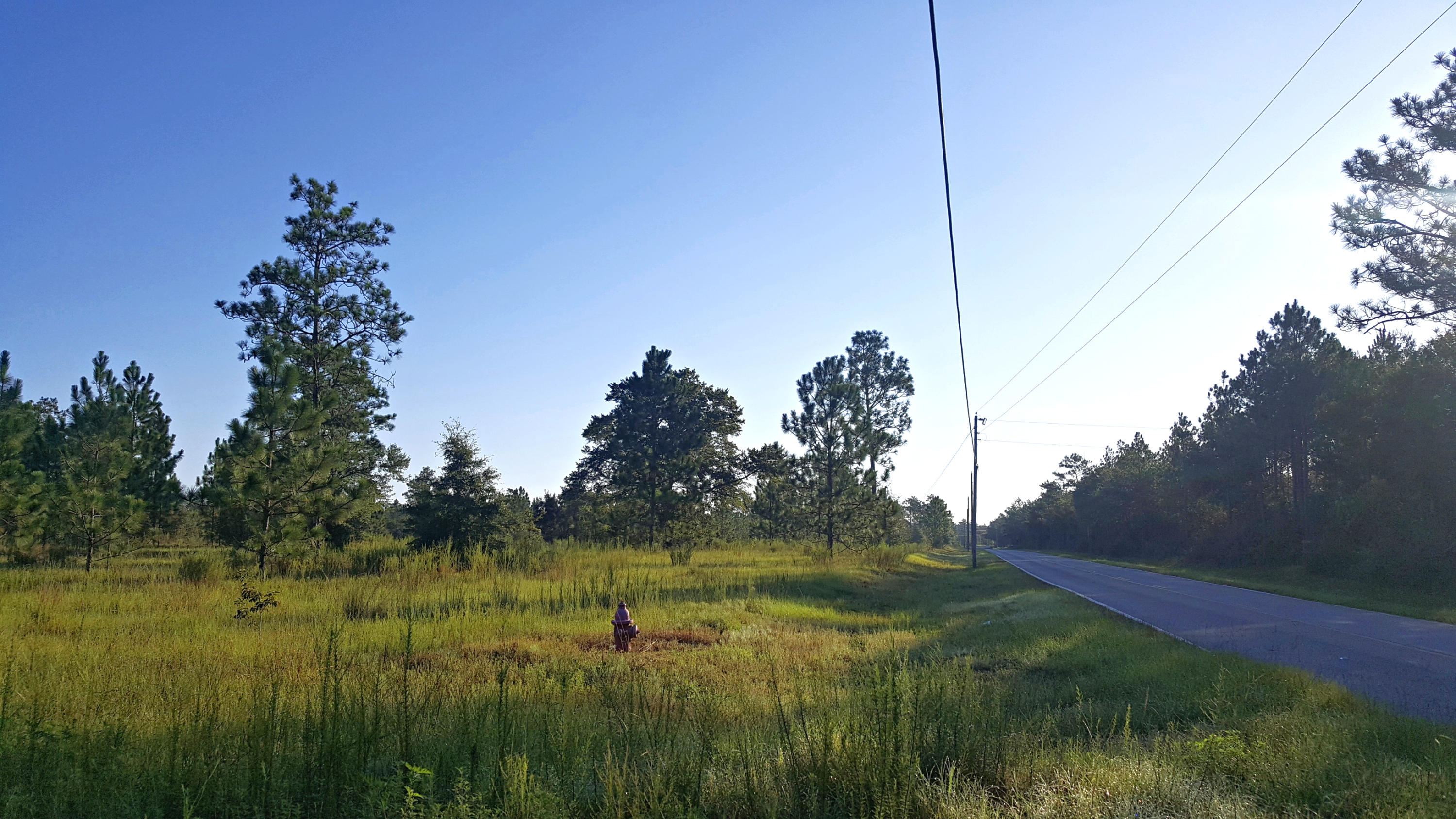 YOUNG PROPERTY - Farm