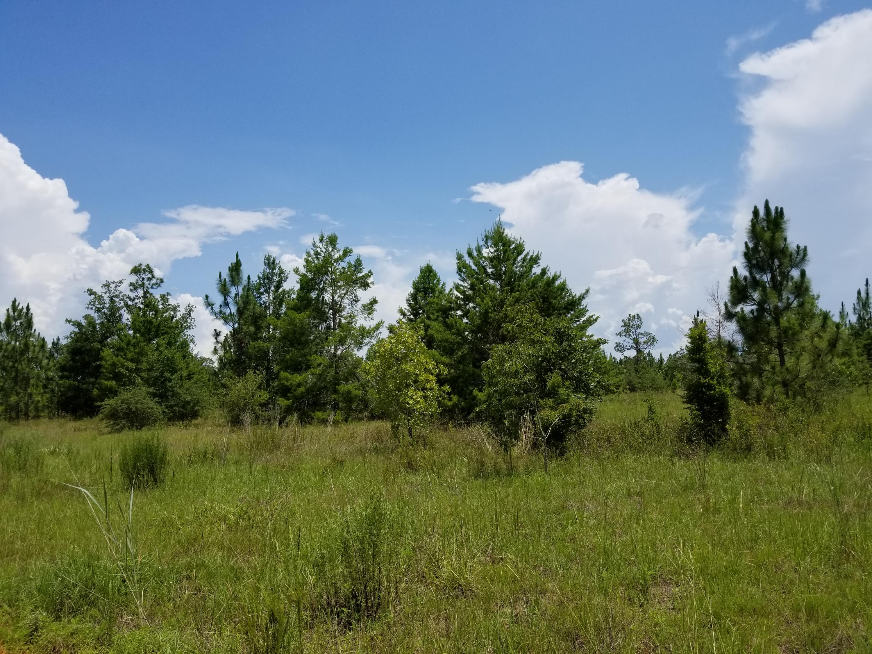 YOUNG PROPERTY - Farm