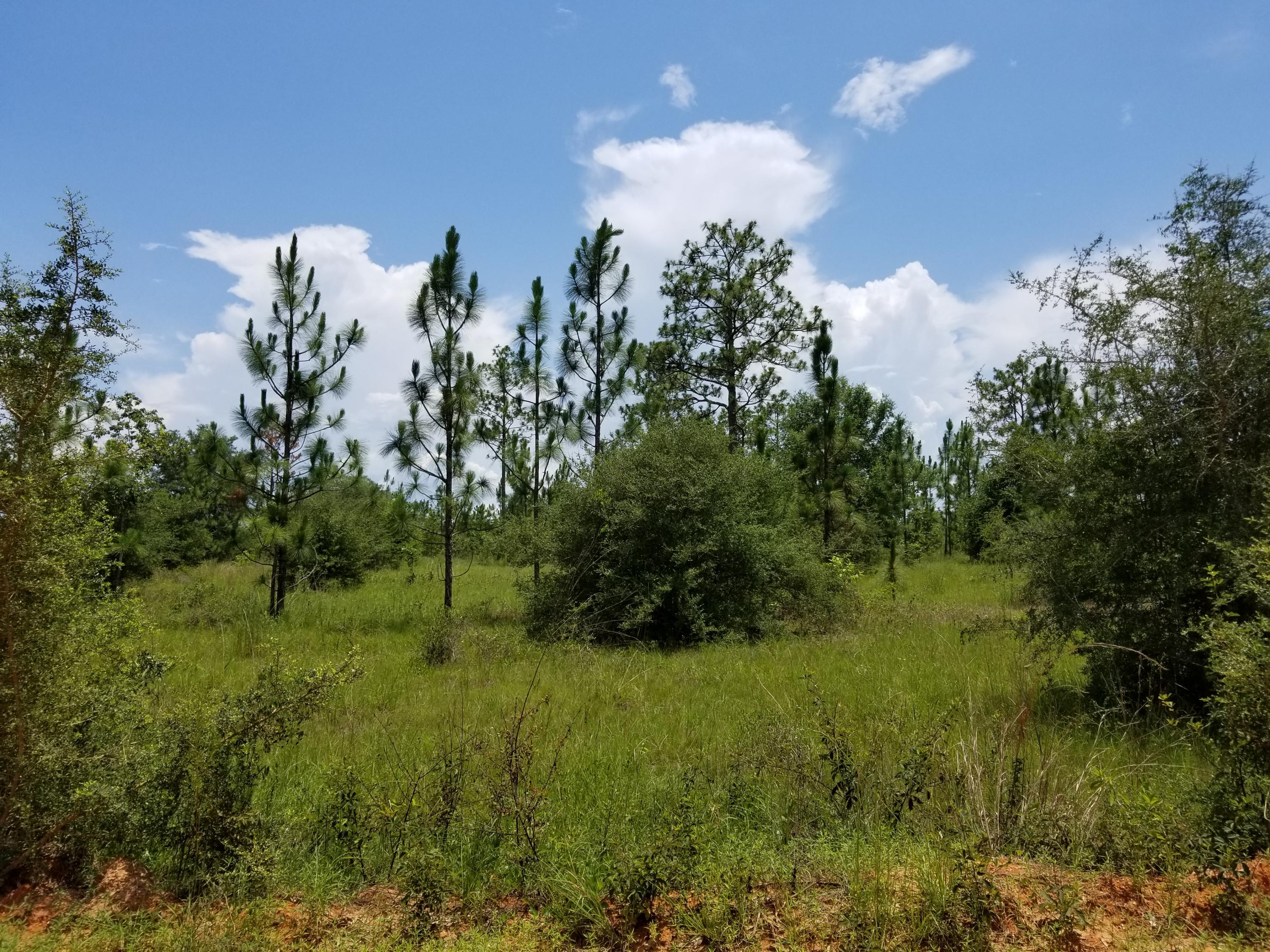 YOUNG PROPERTY - Farm