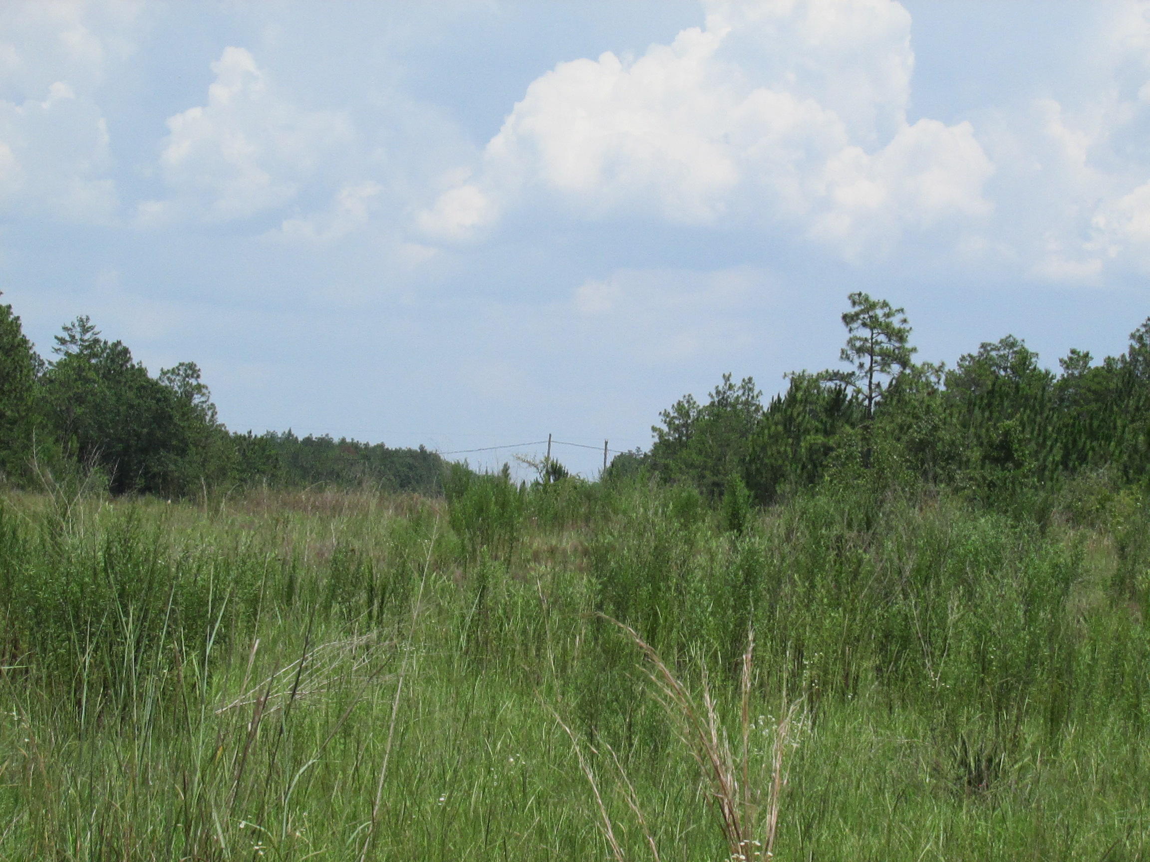 YOUNG PROPERTY - Farm