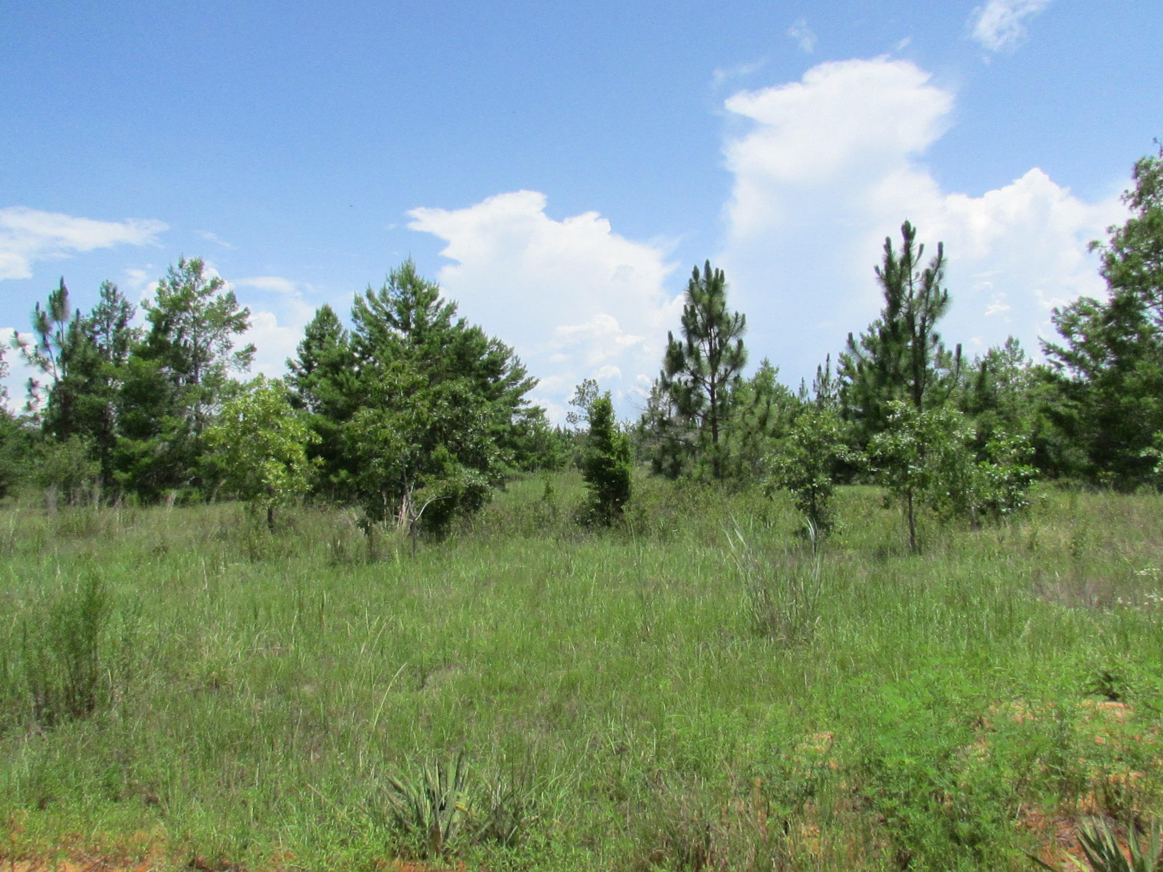 YOUNG PROPERTY - Farm