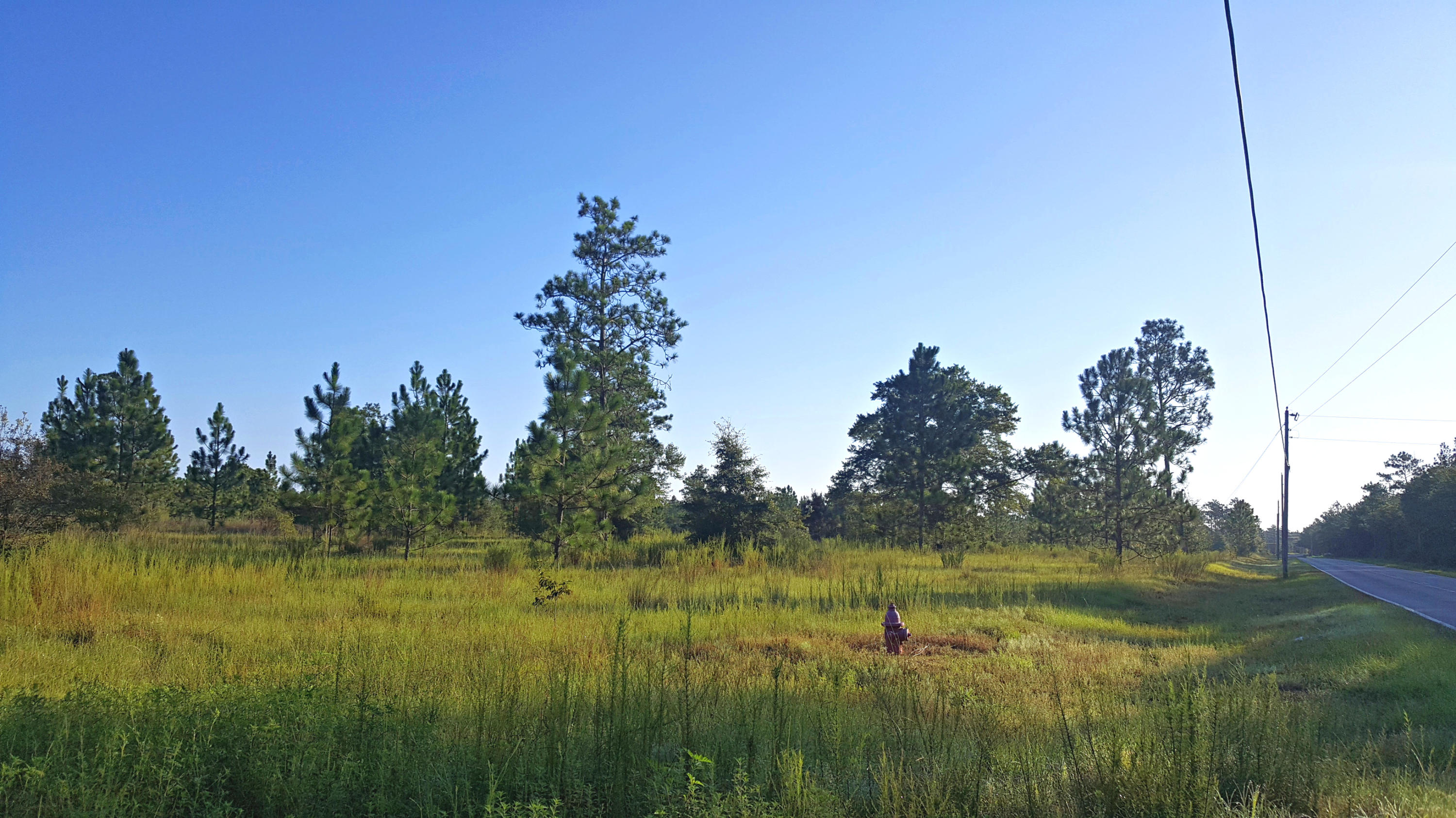 YOUNG PROPERTY - Farm