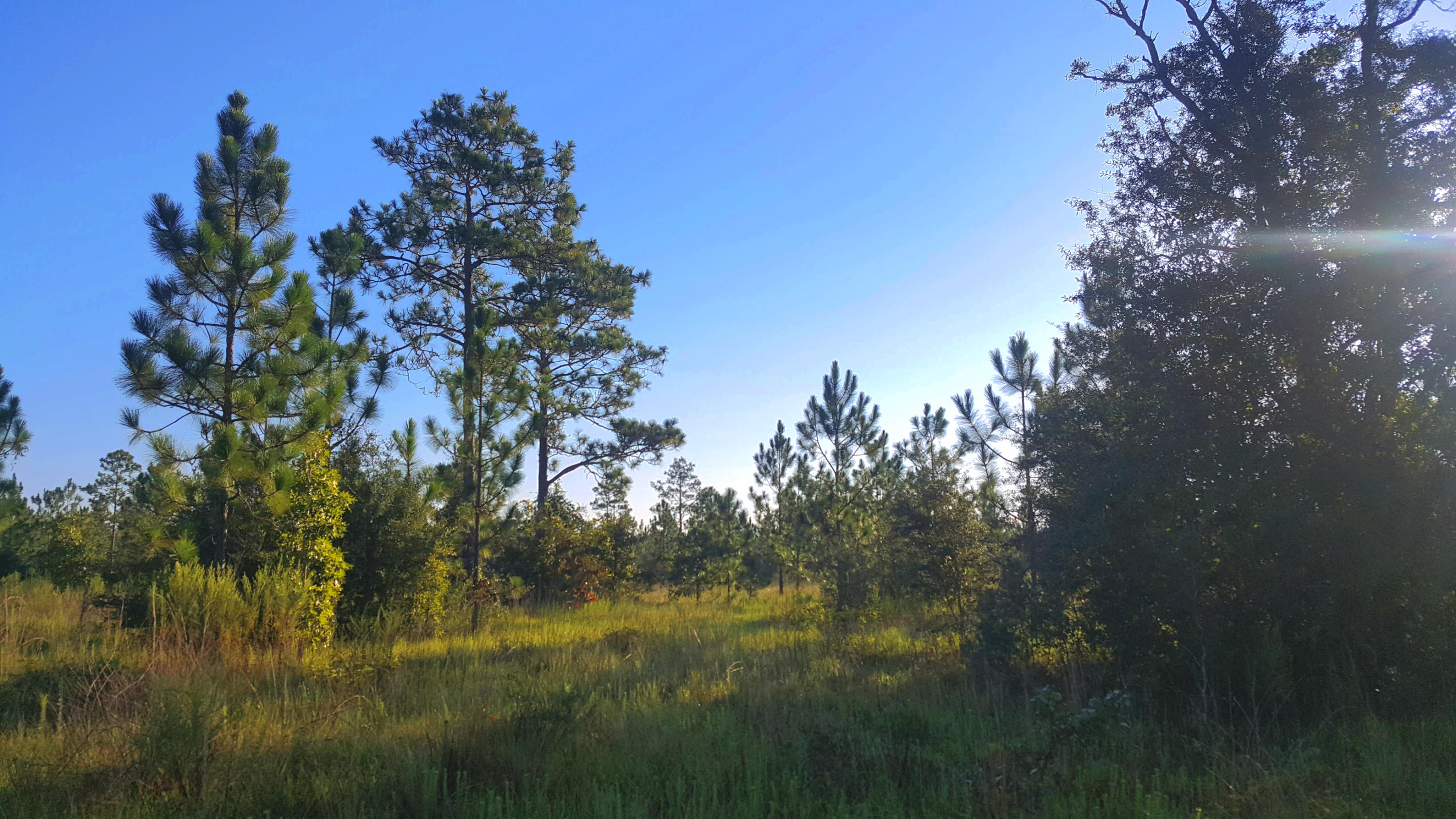 YOUNG PROPERTY - Farm