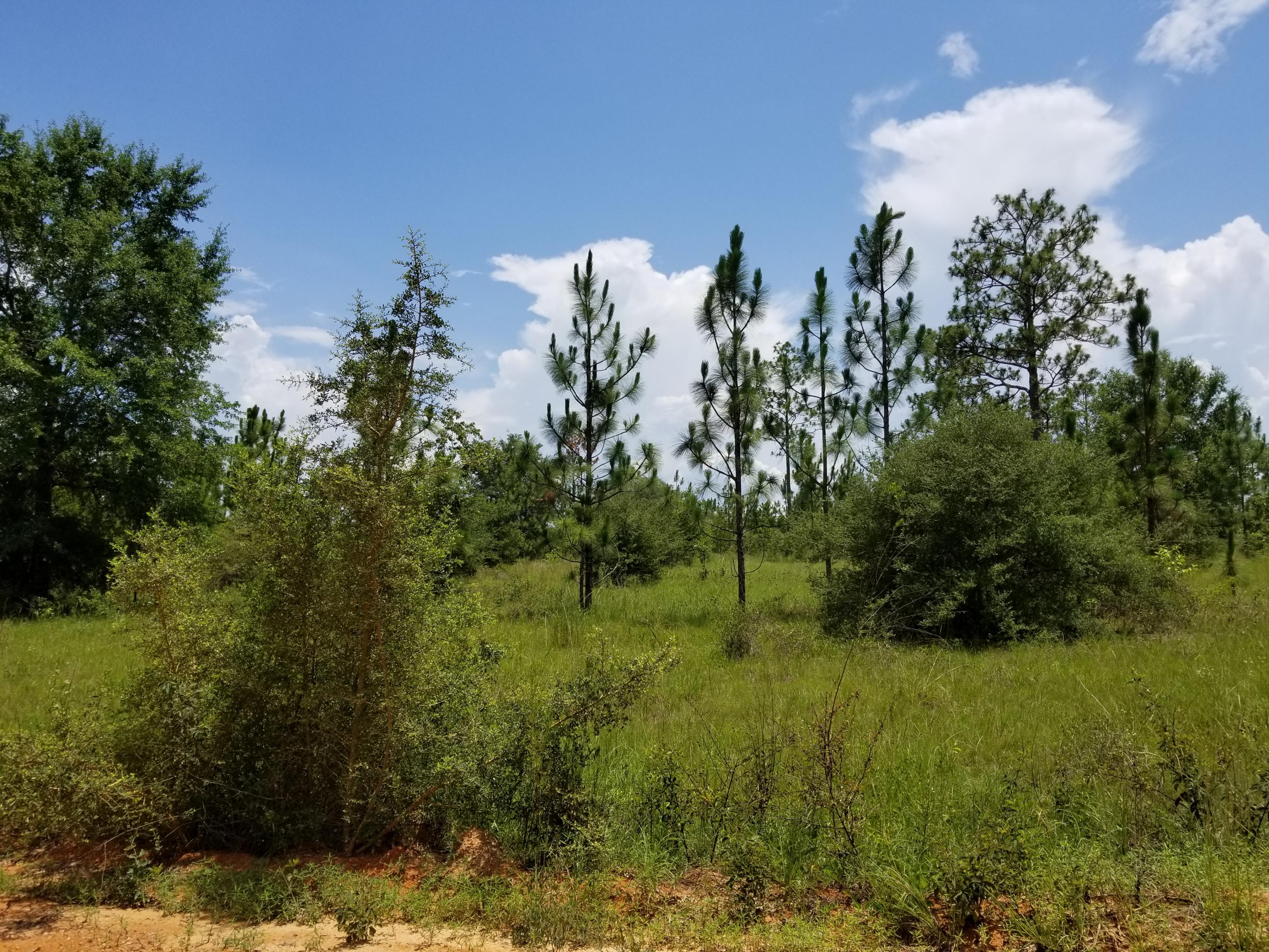 YOUNG PROPERTY - Farm