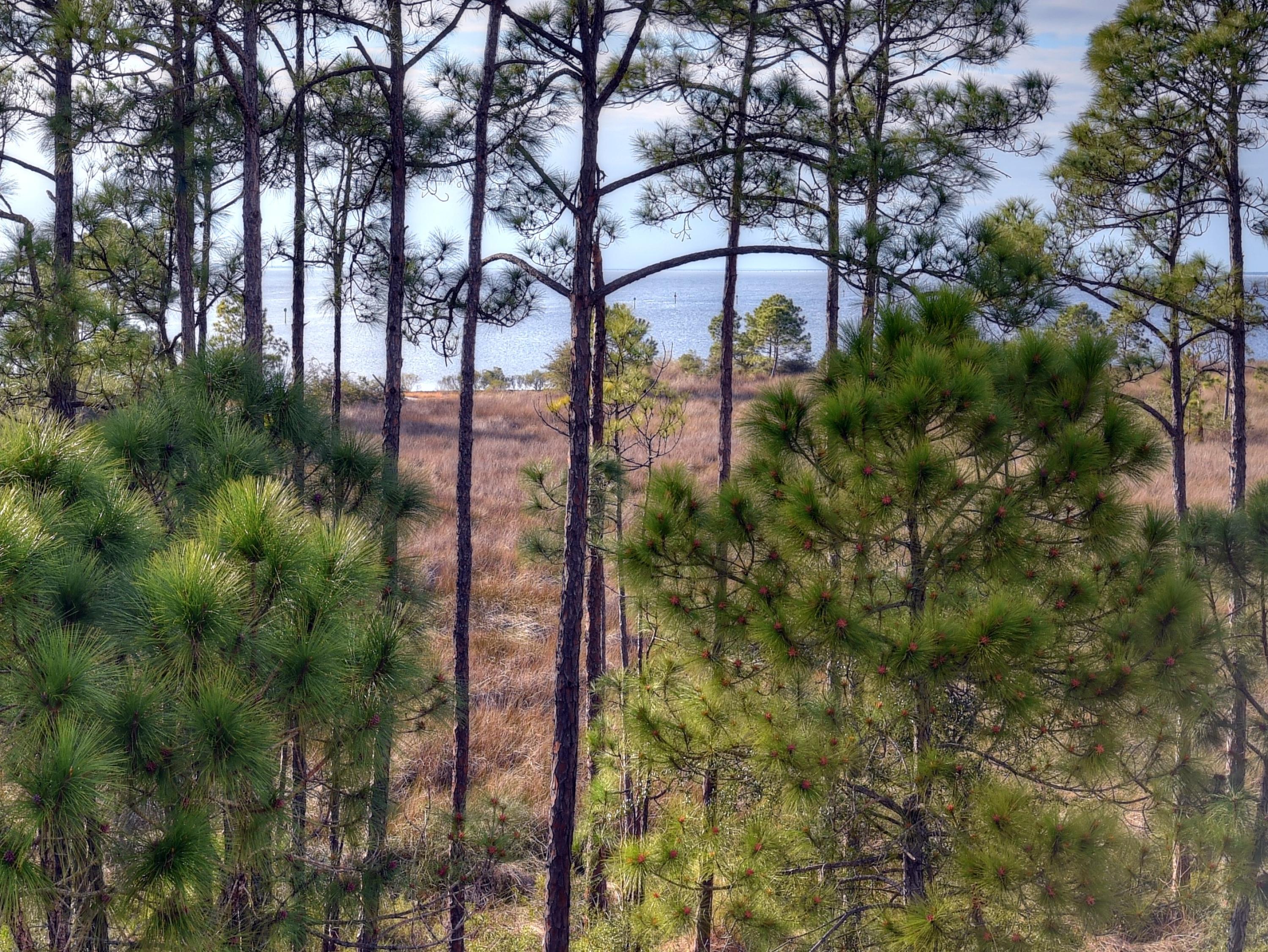 LE JARDIN - Residential