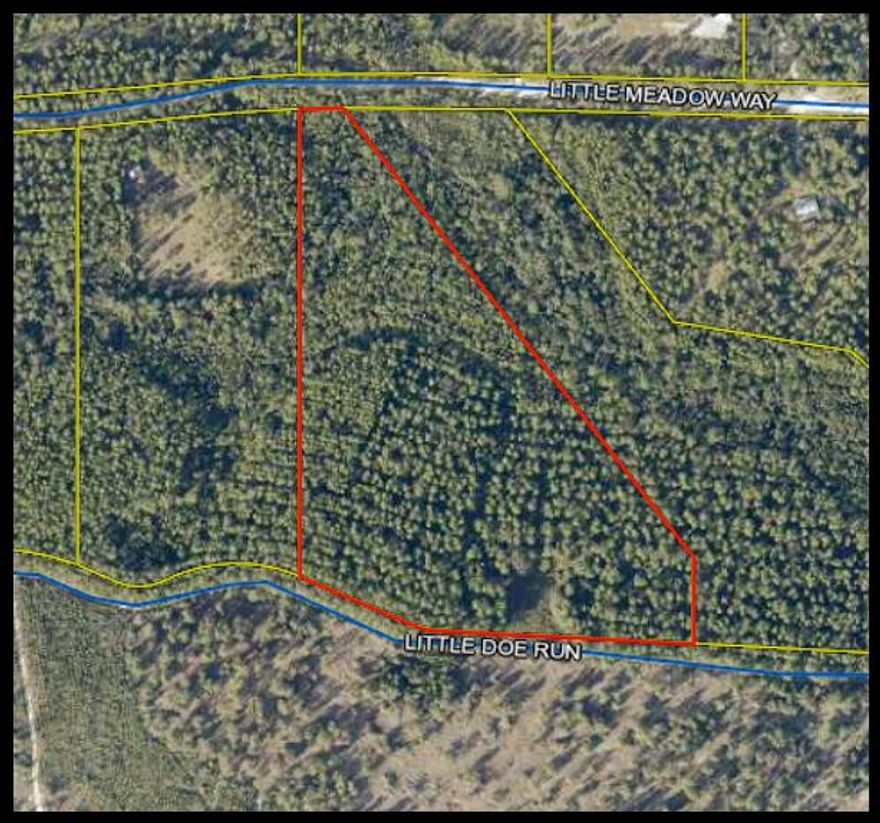 15.5 acres in Walton Plantation.  Power adjacent to parcel.  approximately 12 acres of 15-25 year old pines and 3 acres natural regeneration.  No wetlands per National Wetland Inventory Map published by US Fish and Wildlife Service.  Walton plantation has hunting areas, recreation areas and common amenities which can be utilized by parcel owners.  Great parcel for weekend getaway only 1 hour from Destin.  Sportsman, Outdoor Enthusiast and Peace and Quiet Paradise!  Listing agent has ownership interest in property.