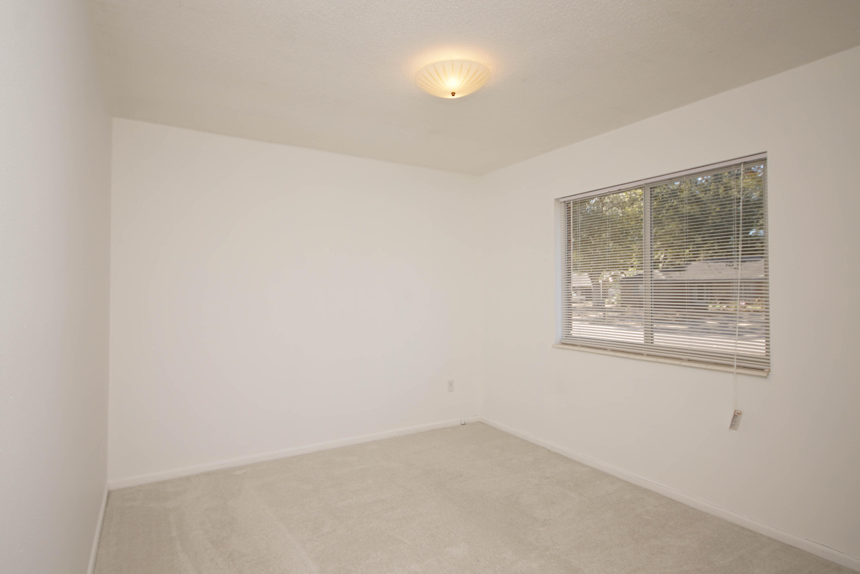 COLLEGE WOOD - Residential