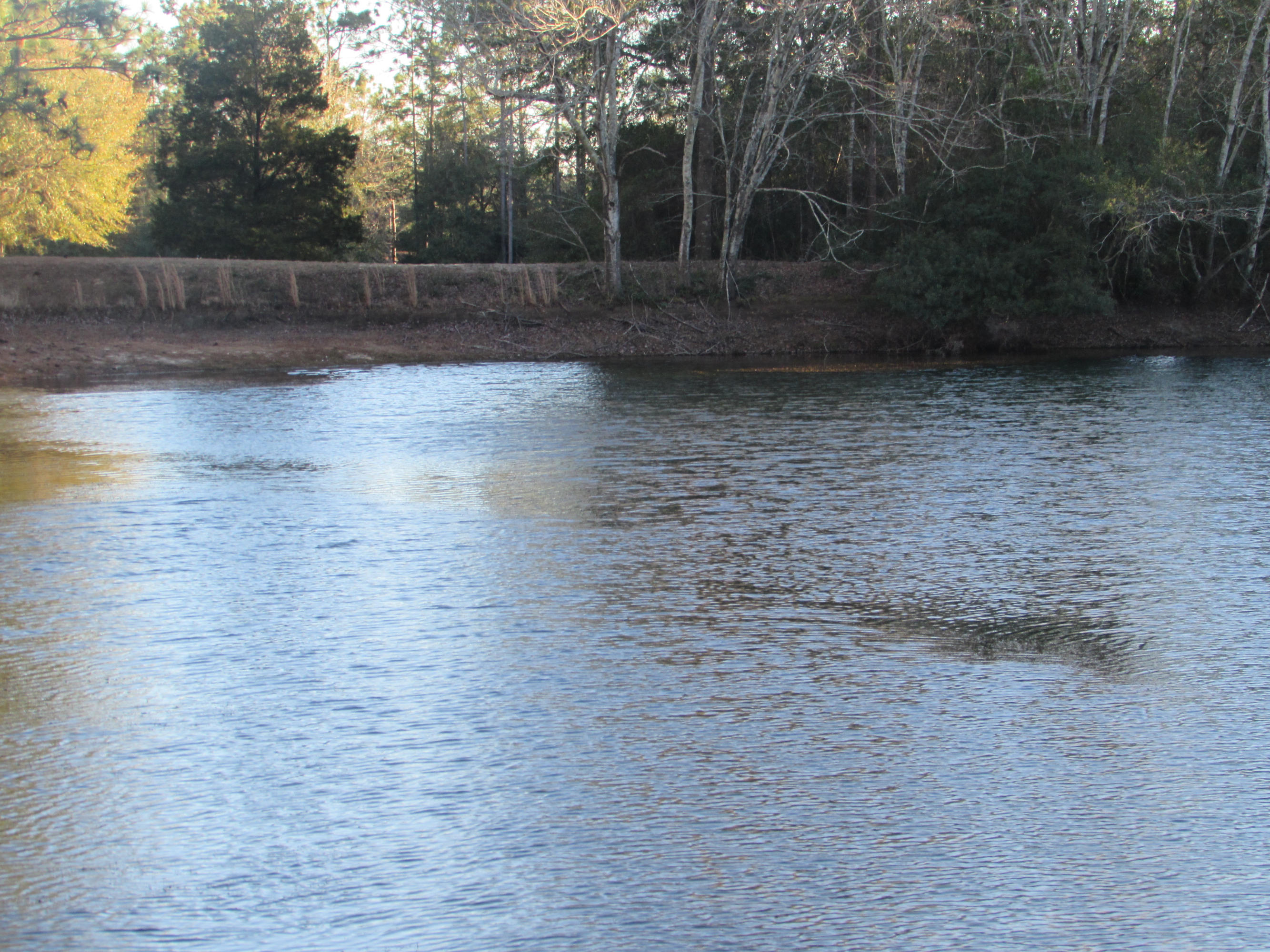 KENNEDY LAKES 1ST ADDN - Residential