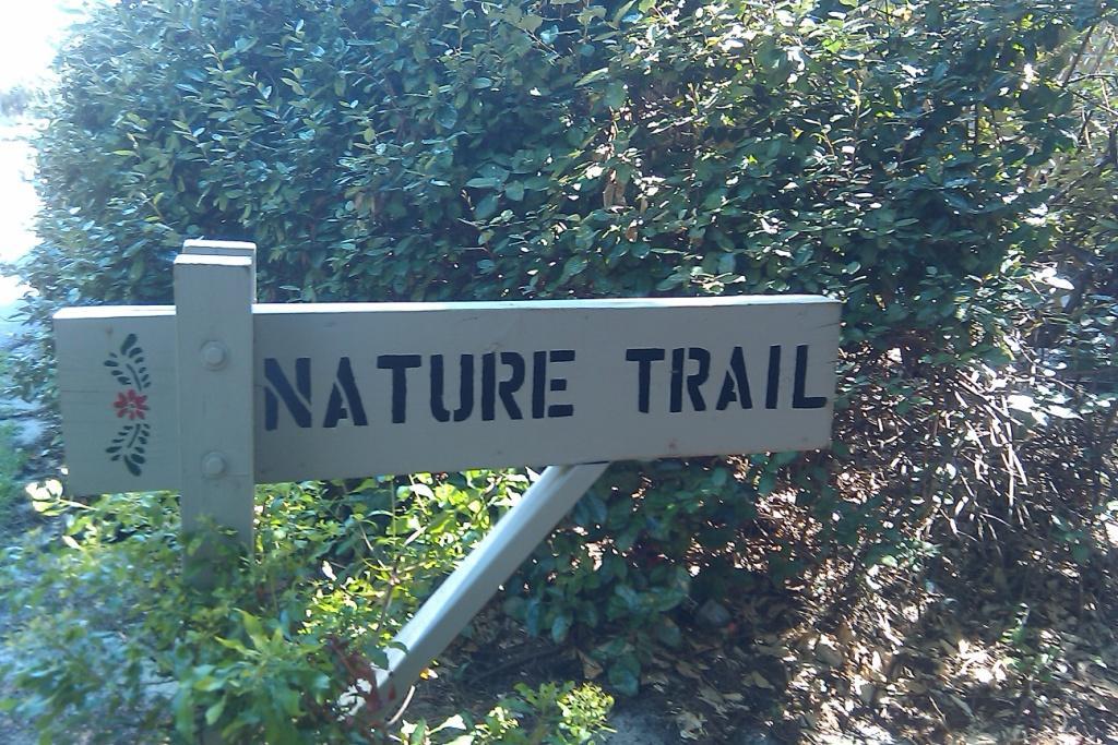 CASSINE VILLAGE - Residential