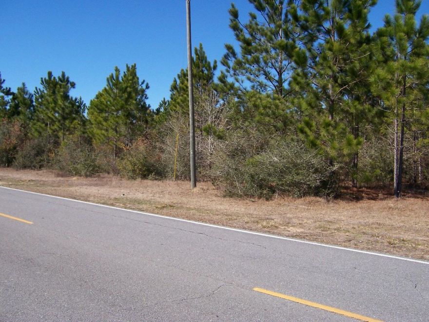 Deed Restricted to protect your investment. No mobile homes allowed. Nice flat wooded approximately 10 ace tract on a paved road only 10 minutes form town and less than an hour to the beaches. Great homesite for a gentleman's farm. Horses allowed.