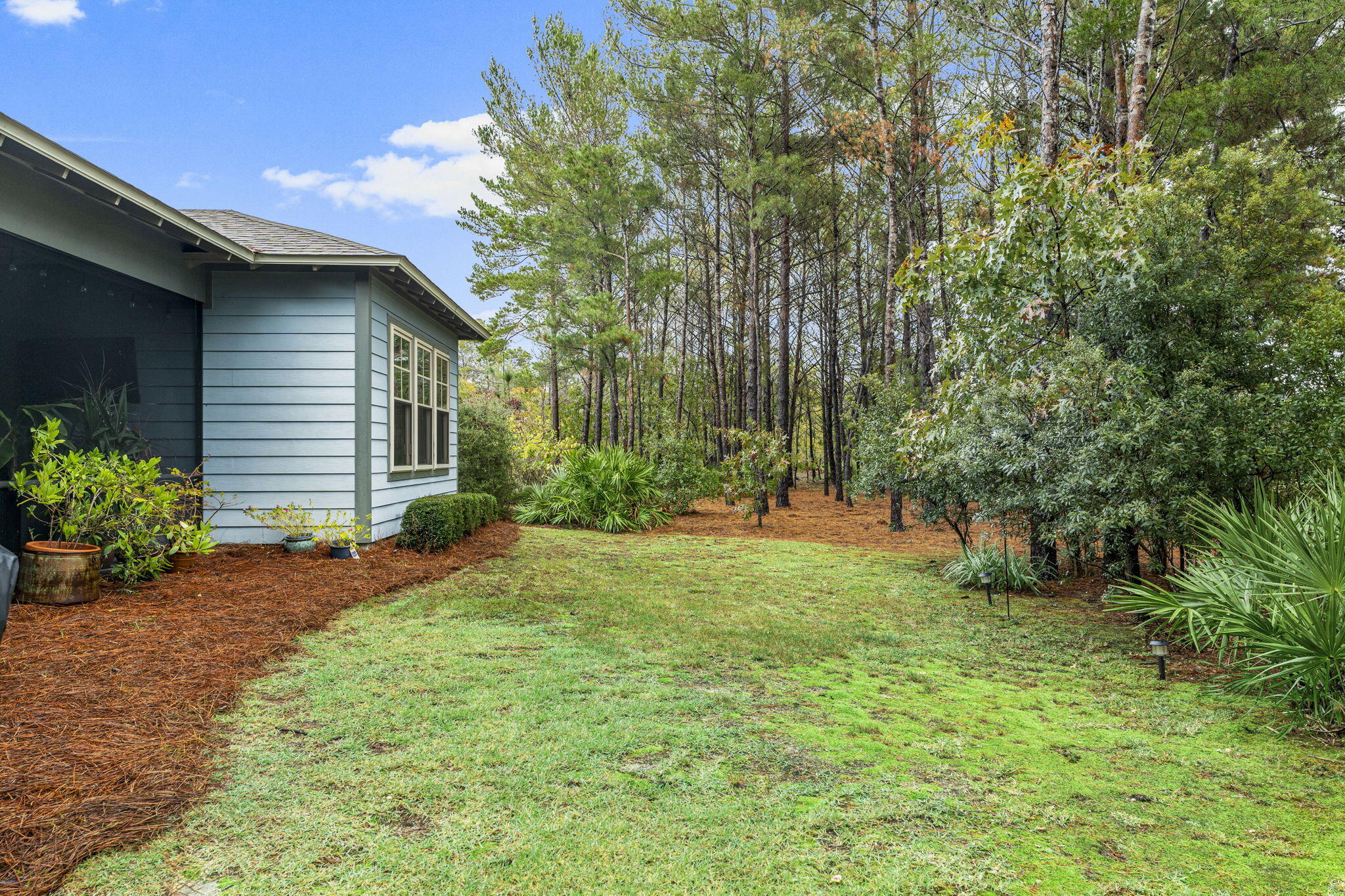 Wild Heron - Residential