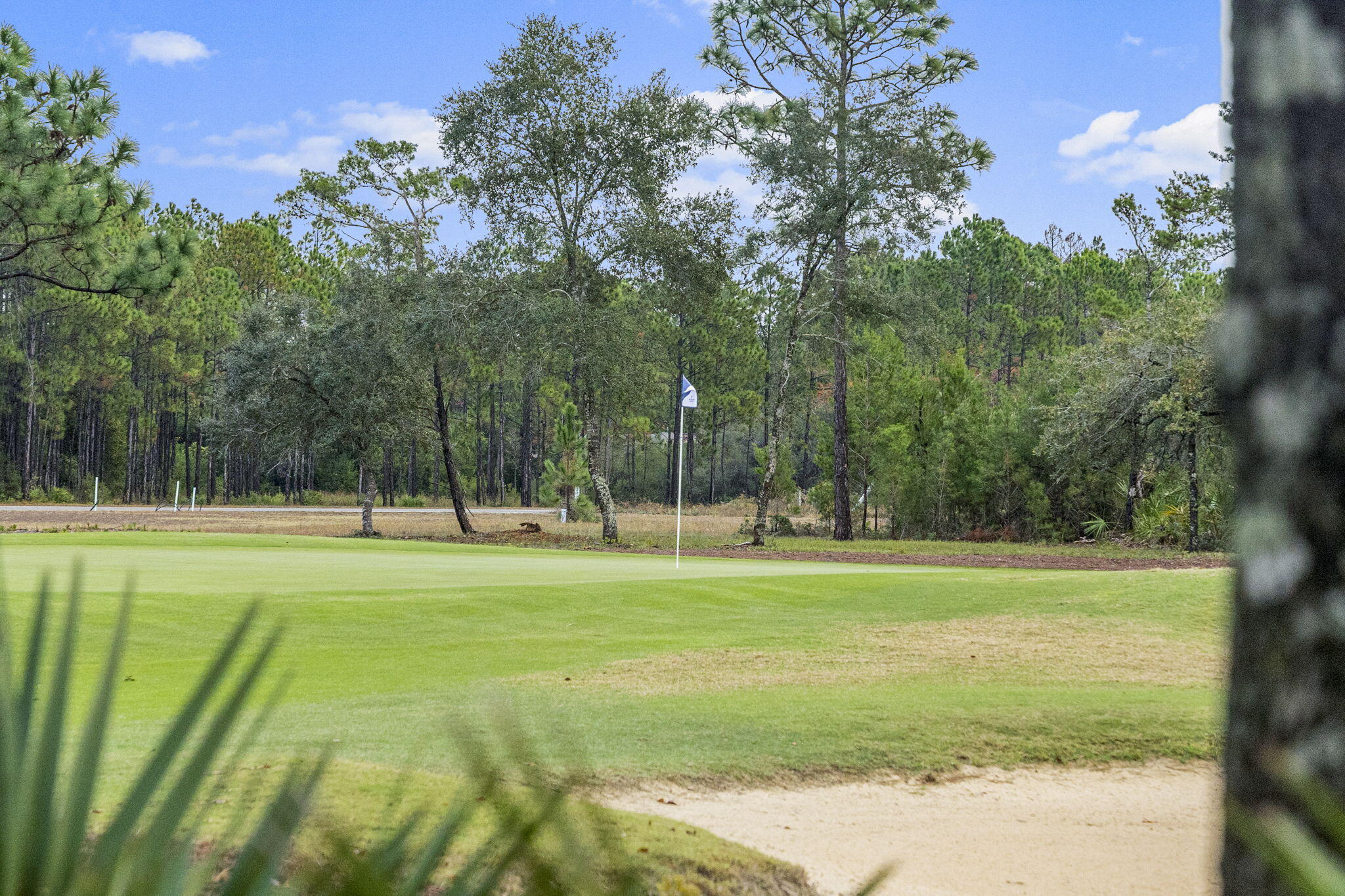 Wild Heron - Residential