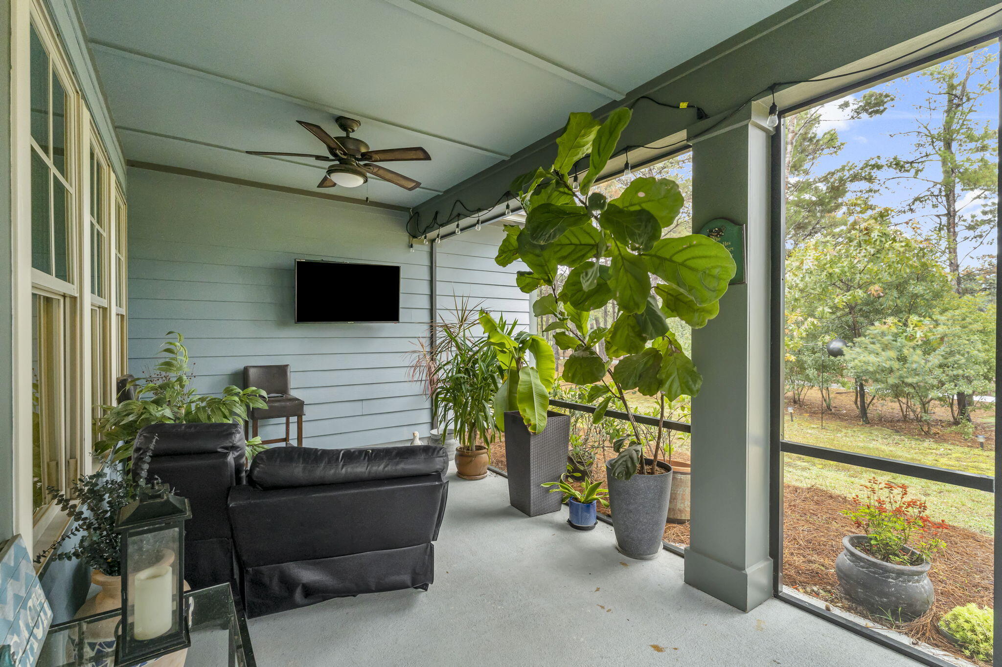 Wild Heron - Residential