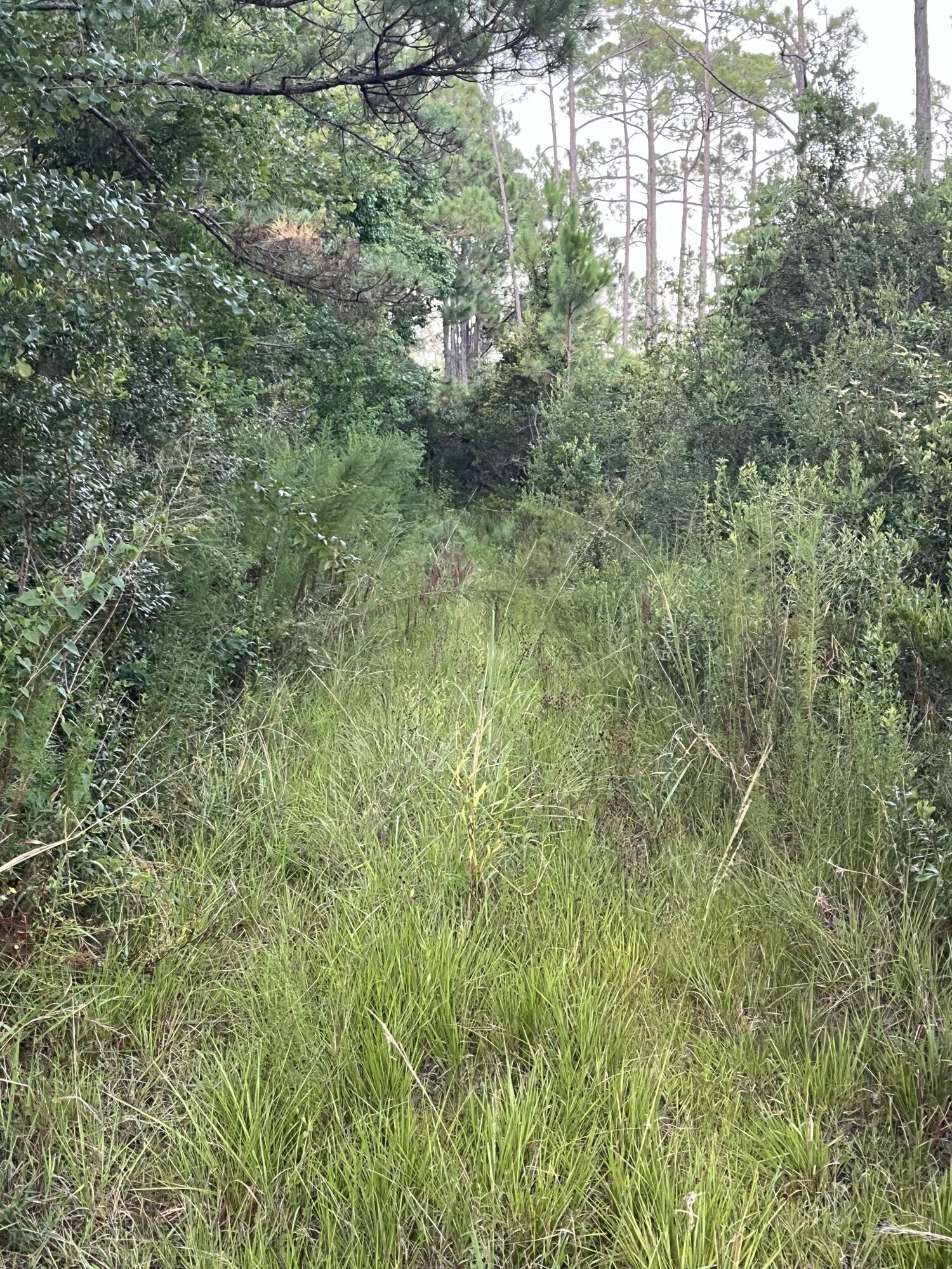 A.R.C.ACRES - Land