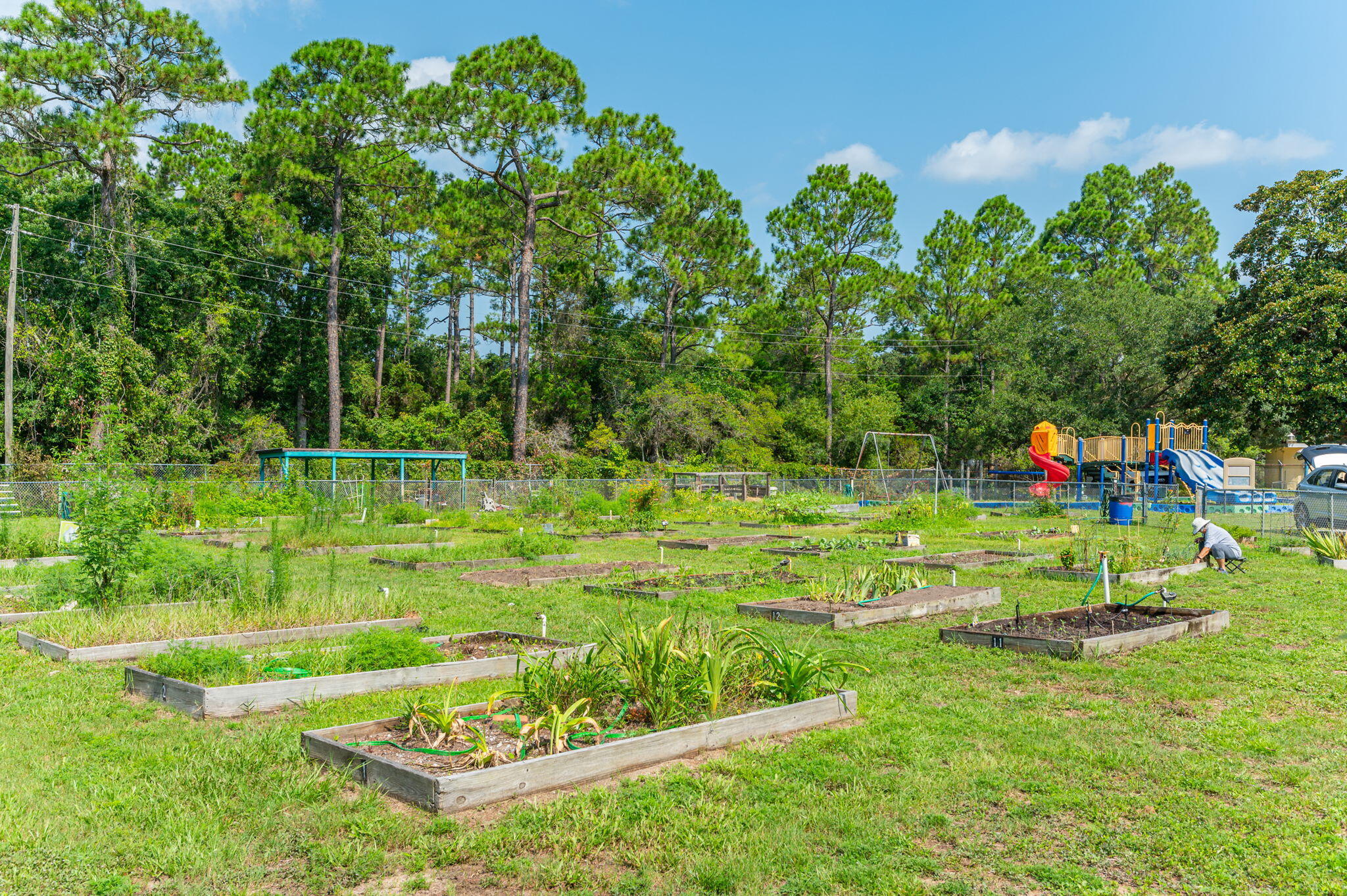 SPRINGDALE - Residential