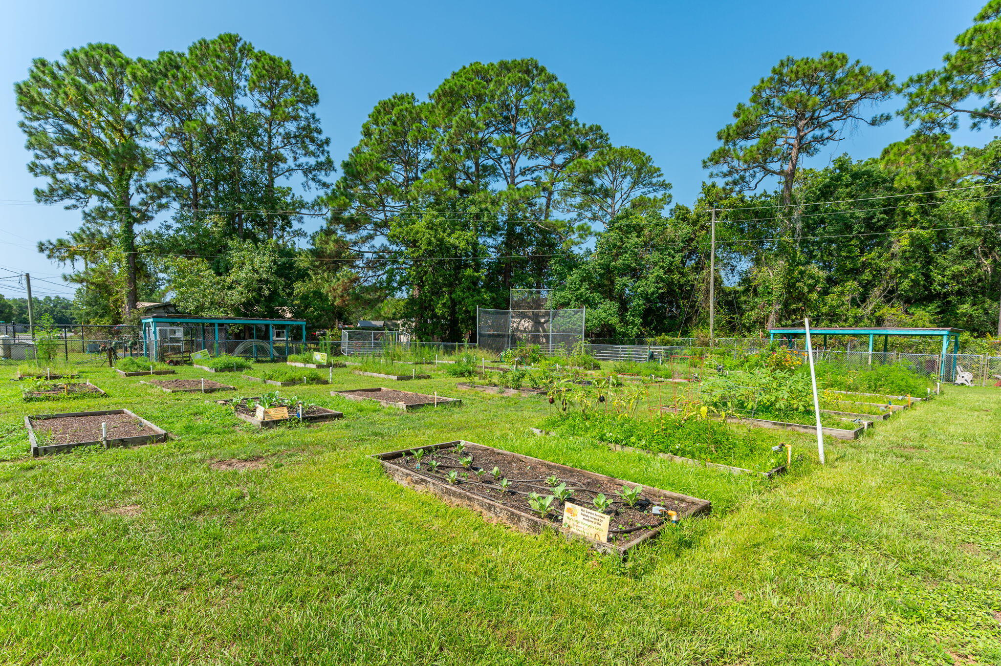 SPRINGDALE - Residential