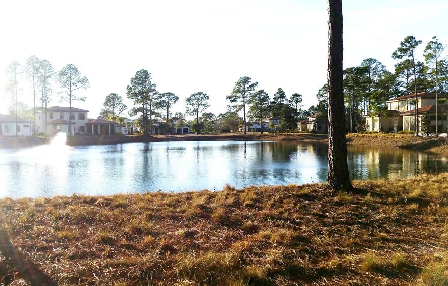 Great interior lot located along the pristine Genoa lake. Genoa is a beautiful up and coming community full of Mediterranean style one and two story homes. Come enjoy all the amenities Sandestin Golf and Beach Resort has to offer, such as dining, shopping, and entertainment at The Village of Baytowne Wharf, the 98 slip marina, the world class tennis center, and the championship golf courses.