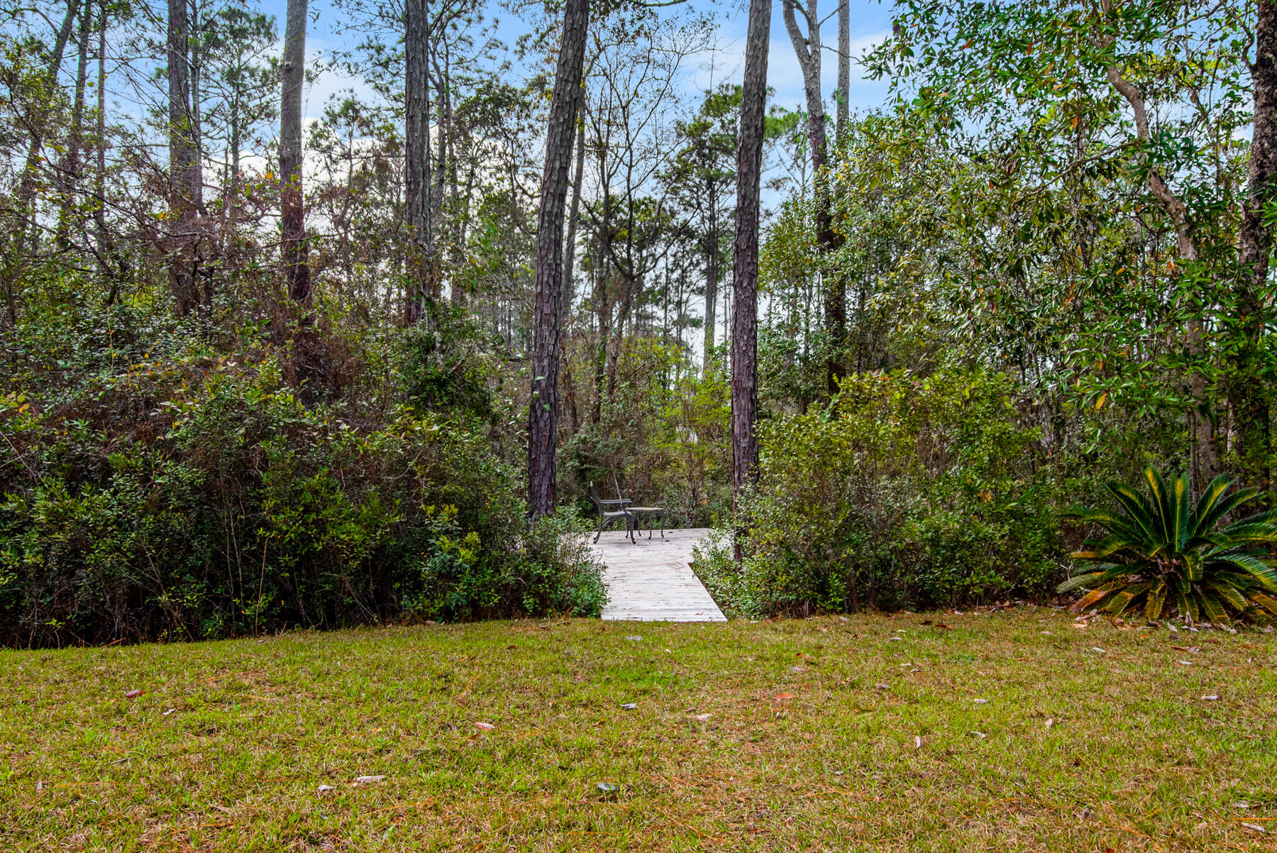 The Woods - Residential