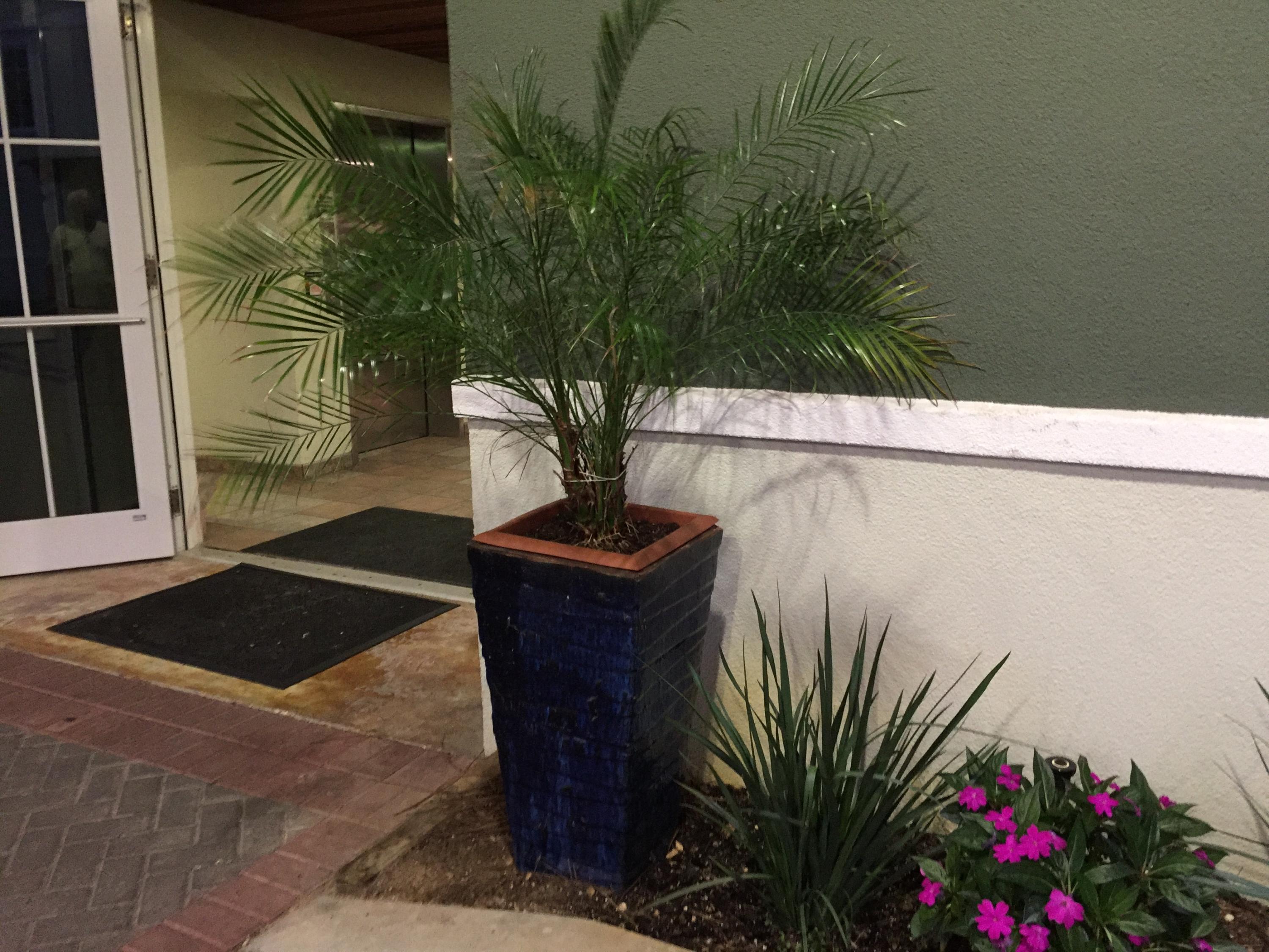 Pier 23 @ Navarre Landing - Residential