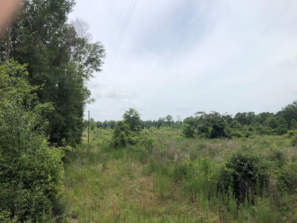 METES & BOUNDS - Farm