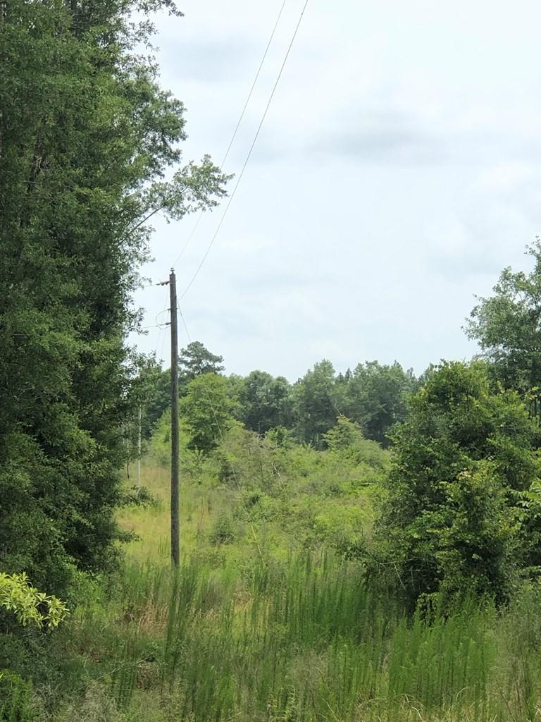 METES & BOUNDS - Farm