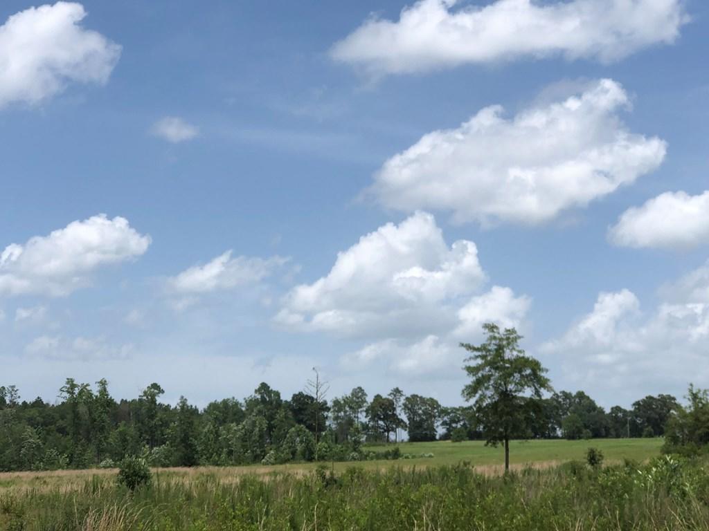 METES & BOUNDS - Farm